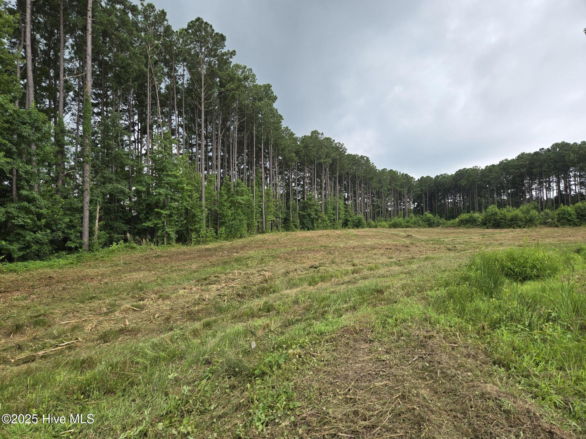 Morganshire-Lot 50