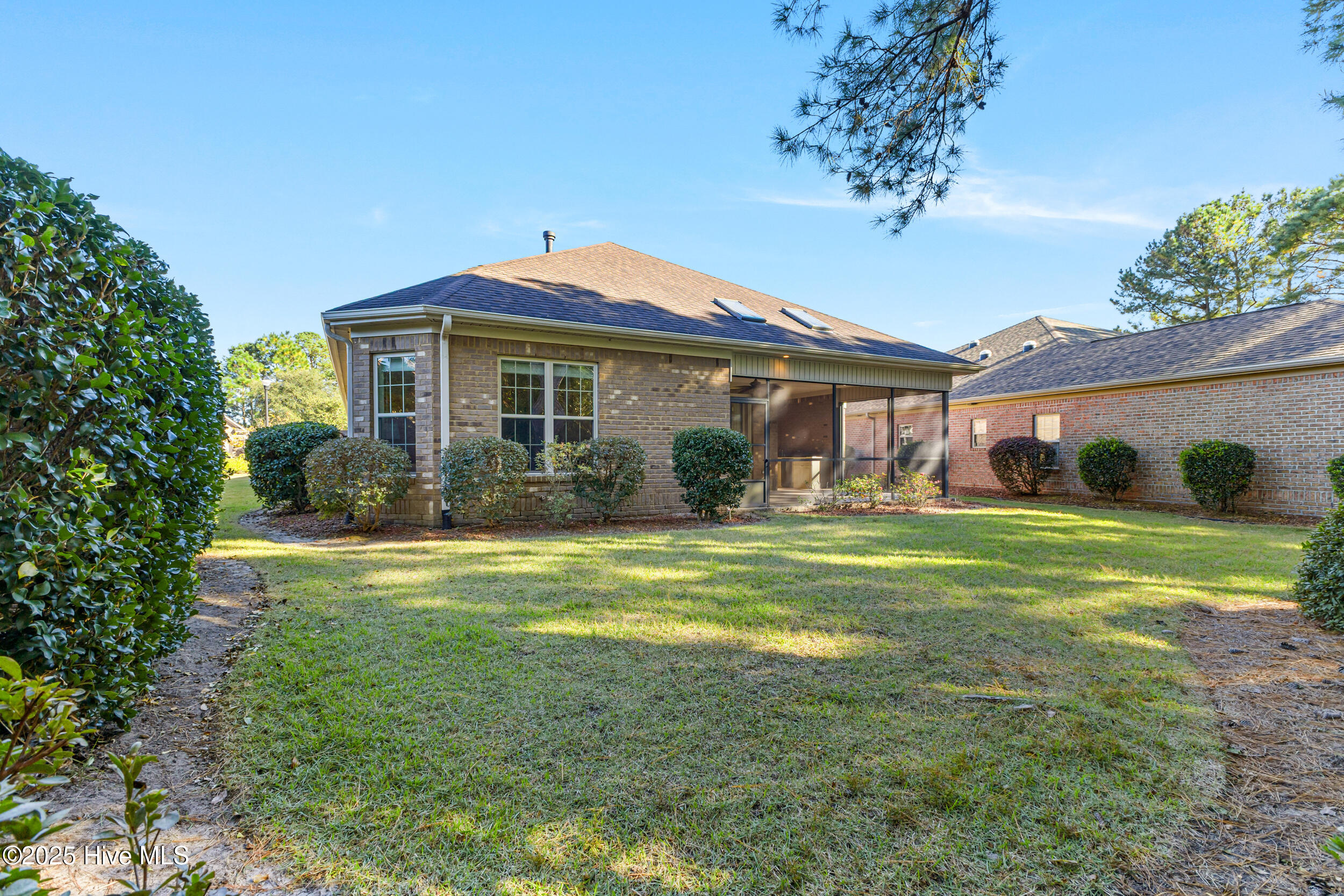 100539412 | Photo 33