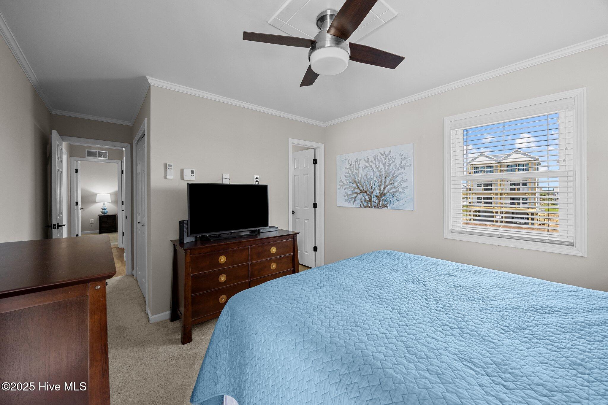 100561287 | Photo 12