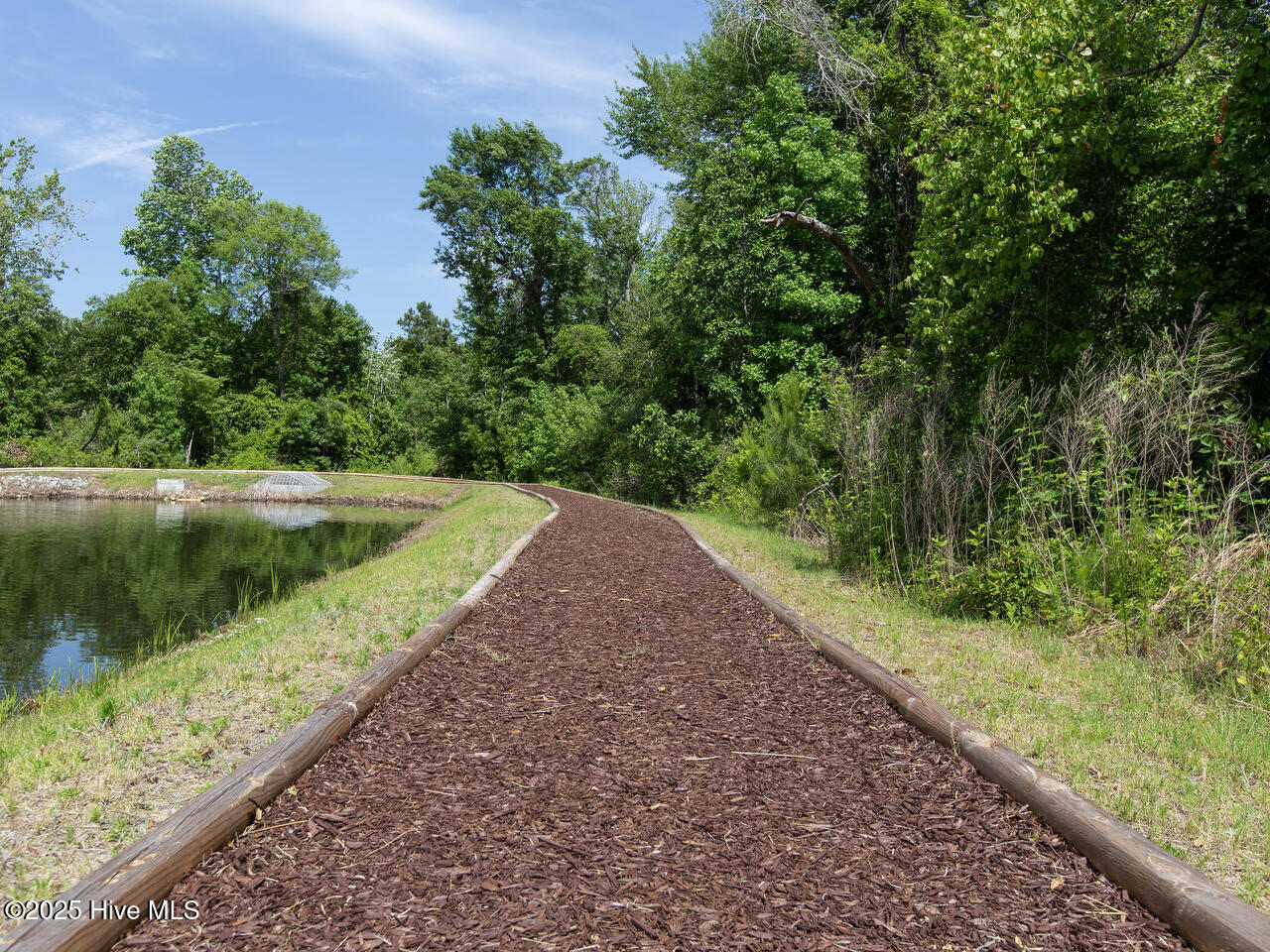 100486486 | Photo 42