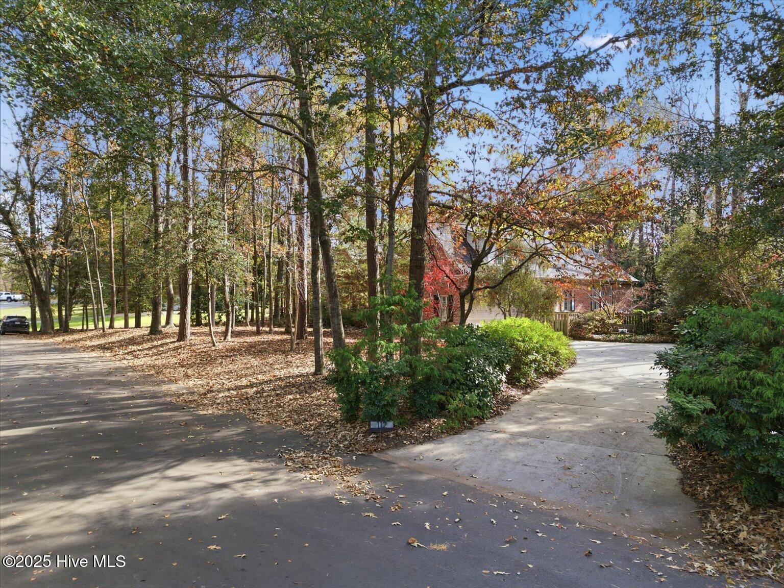 100543619 | Photo 32