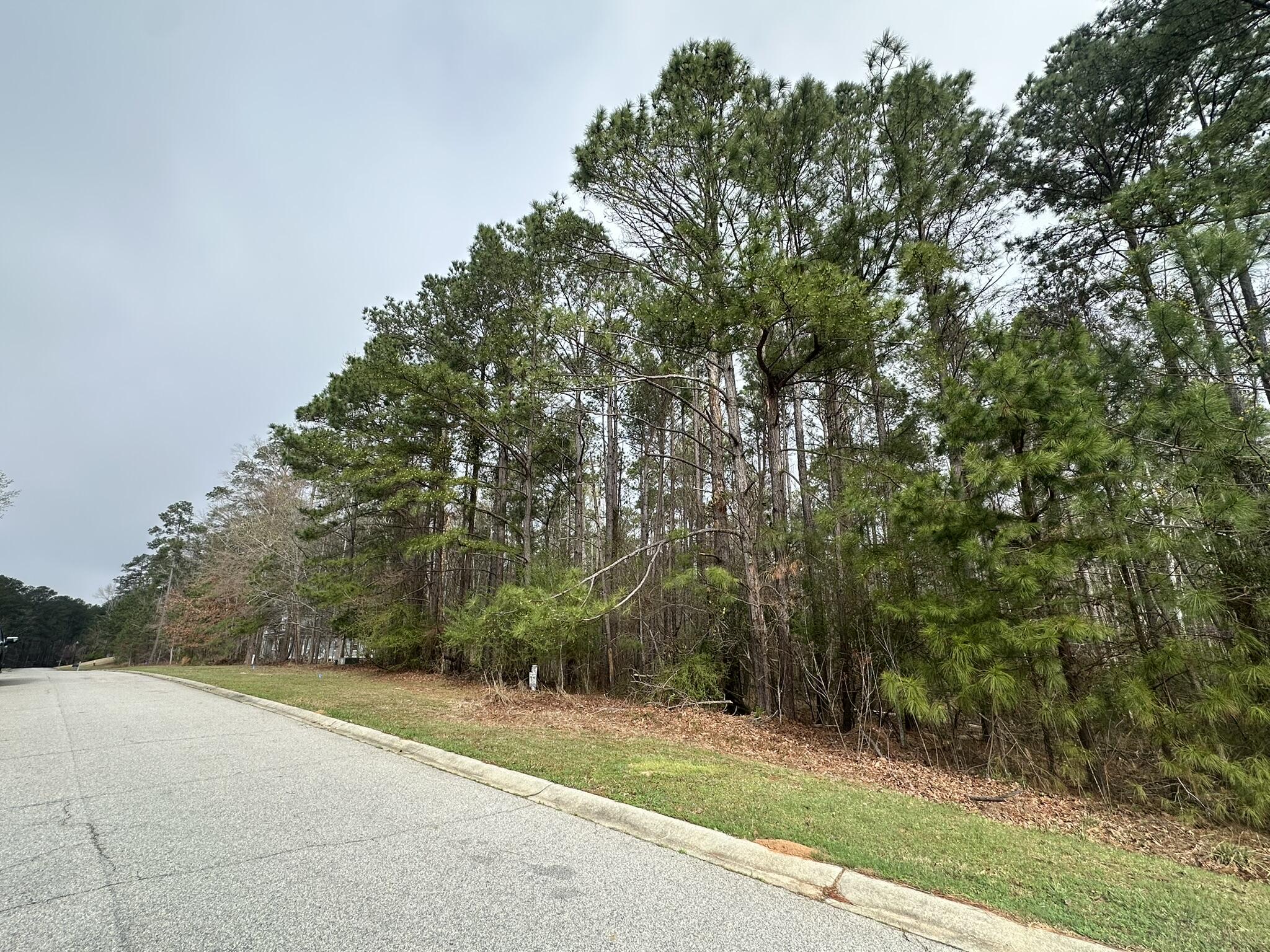 Homes for sale in North Augusta, SC | 1048 Longstreet Pl, North Augusta, SC 29860 | MLS# 553307