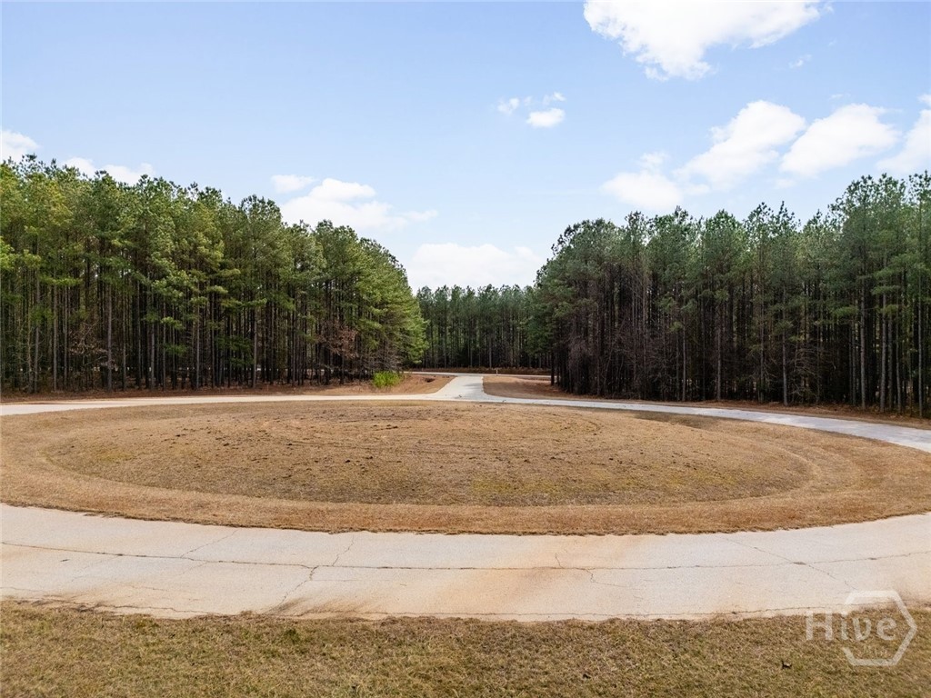 7th image of 0 Magnolia Ct, Tignall, GA 30668 | MLS# CL361180