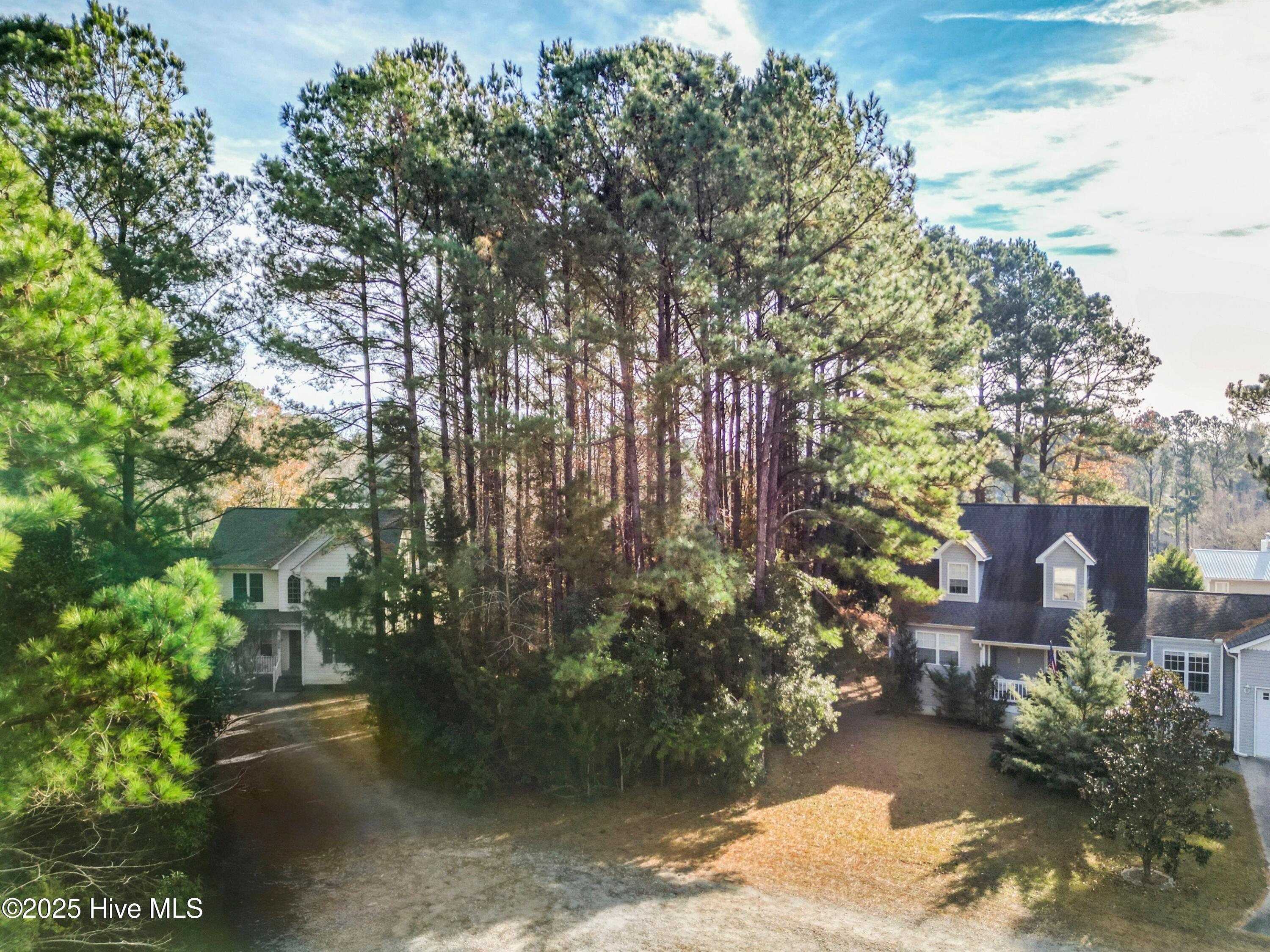 100546456 | Photo 12