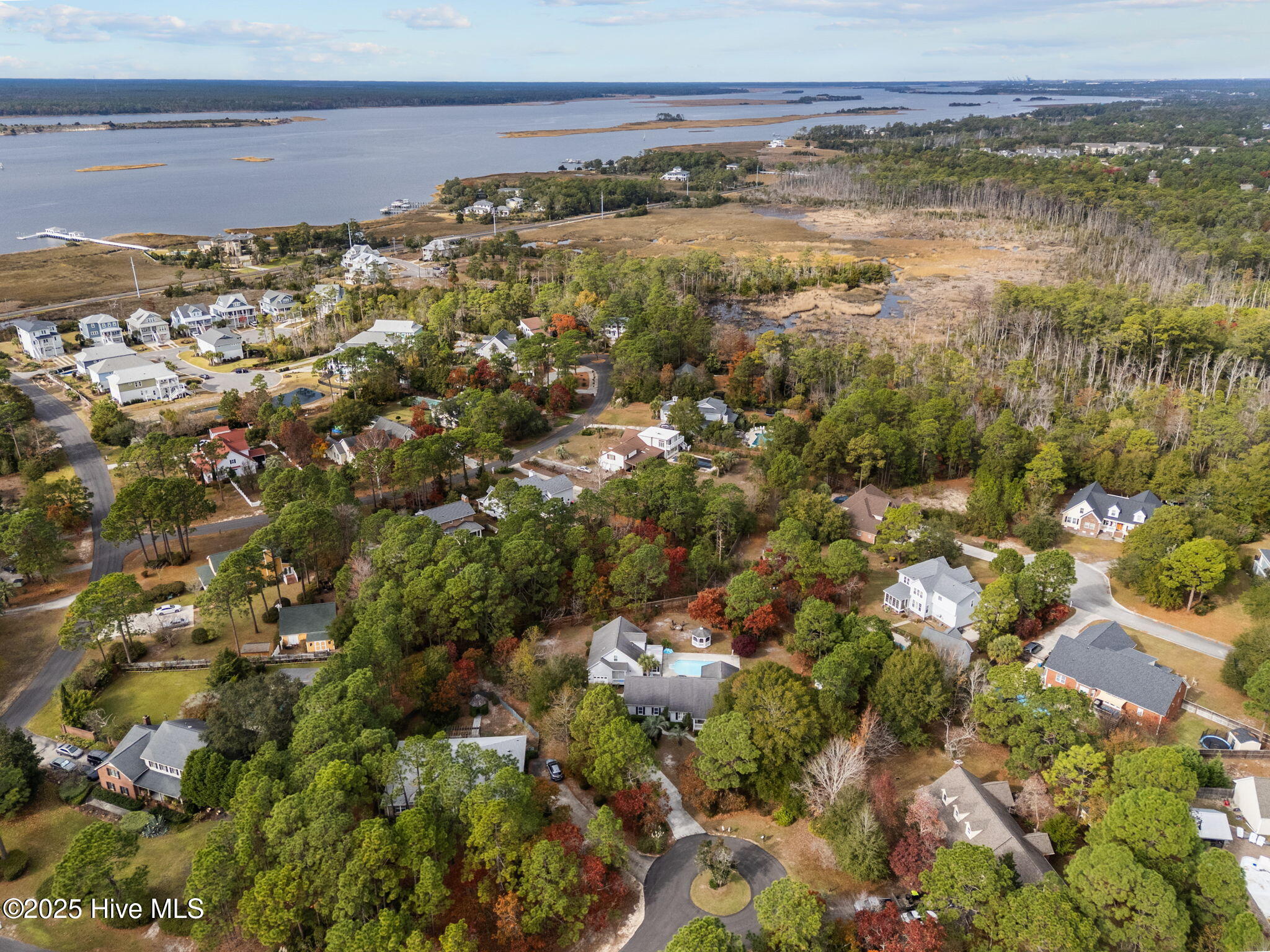 100543111 | Photo 50