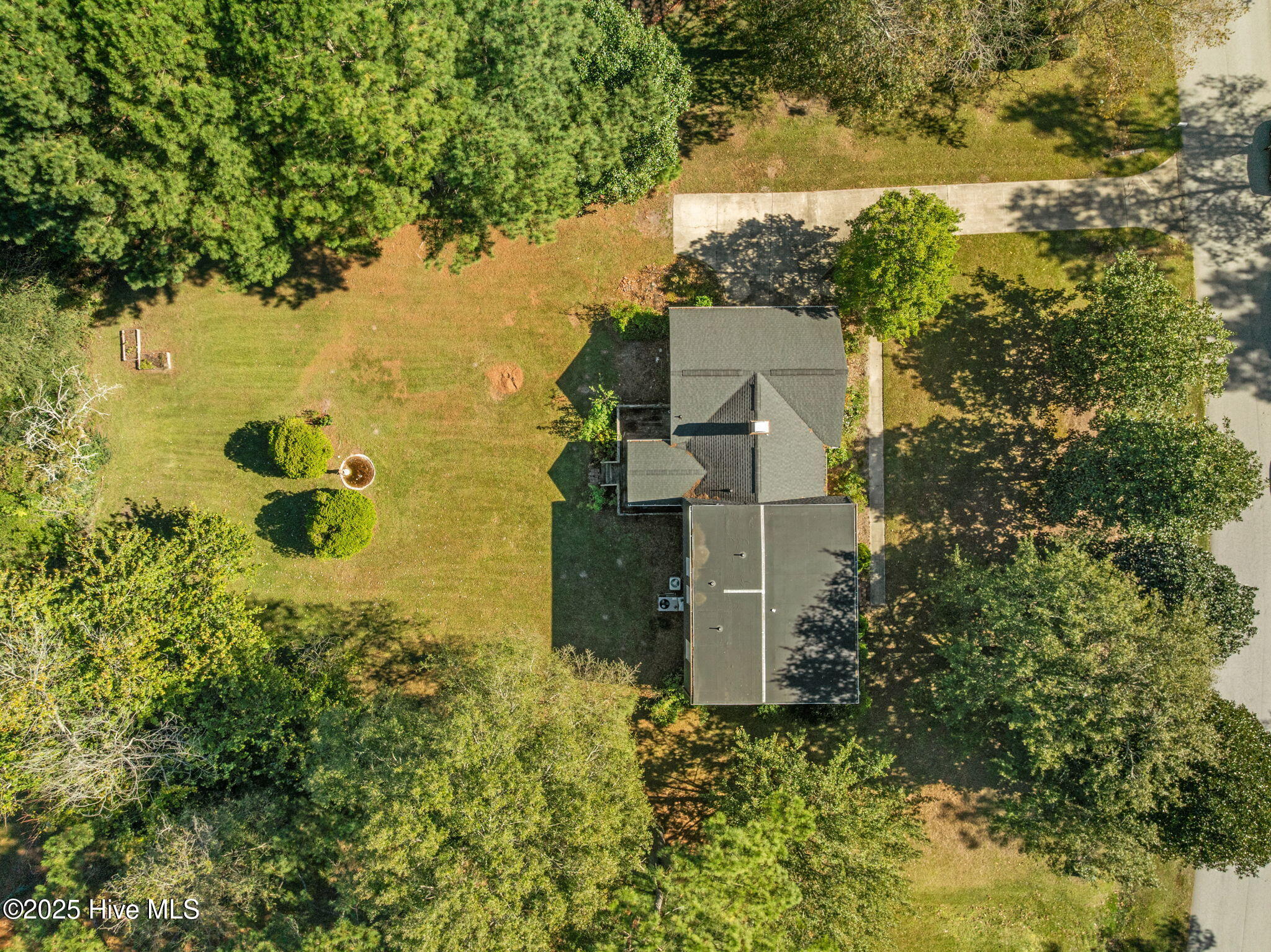 100537375 | Photo 51