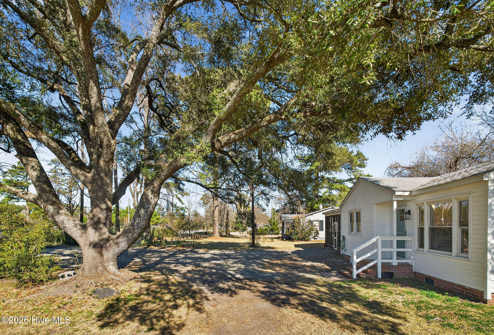 100550452 | Photo 42