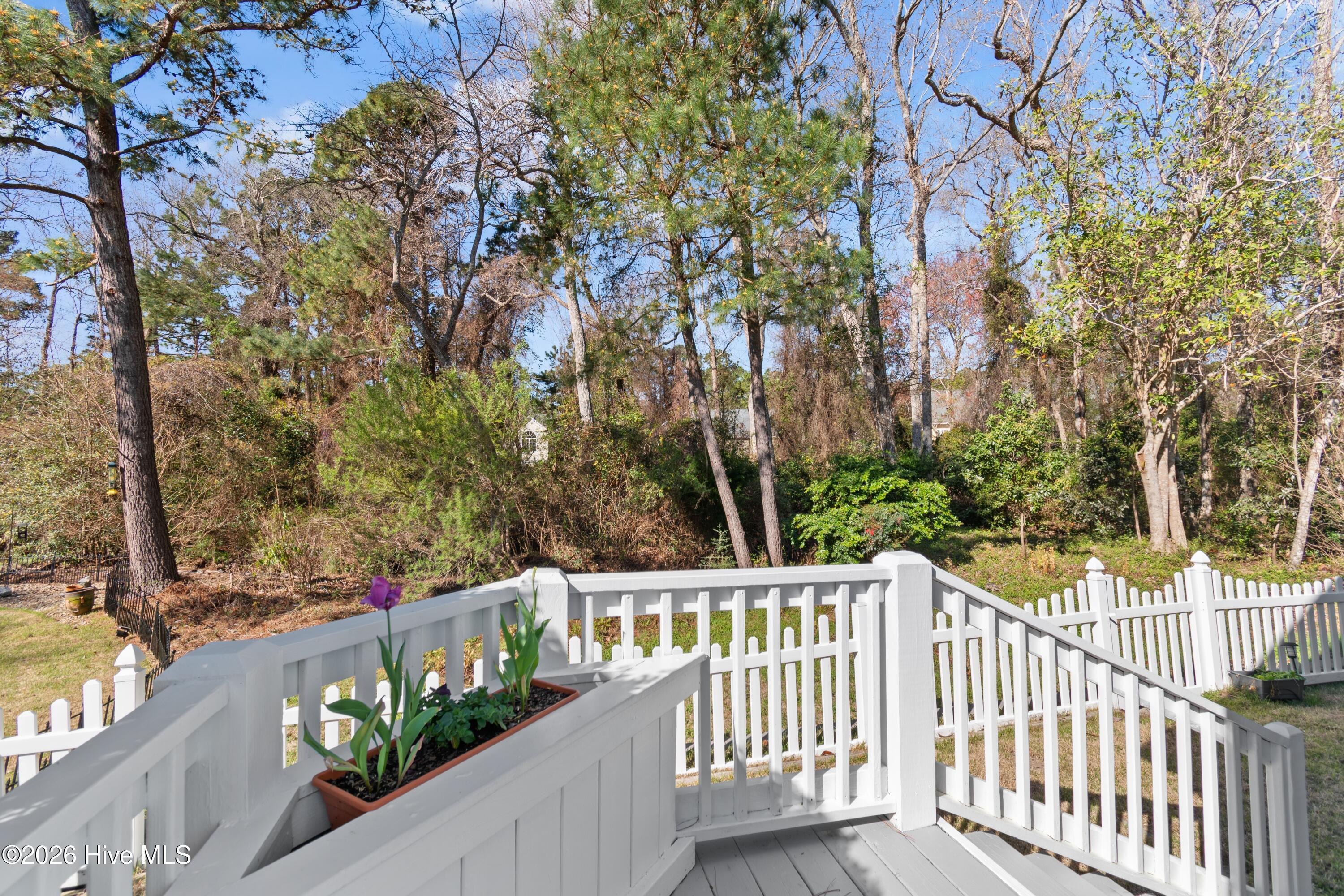 100561490 | Photo 49