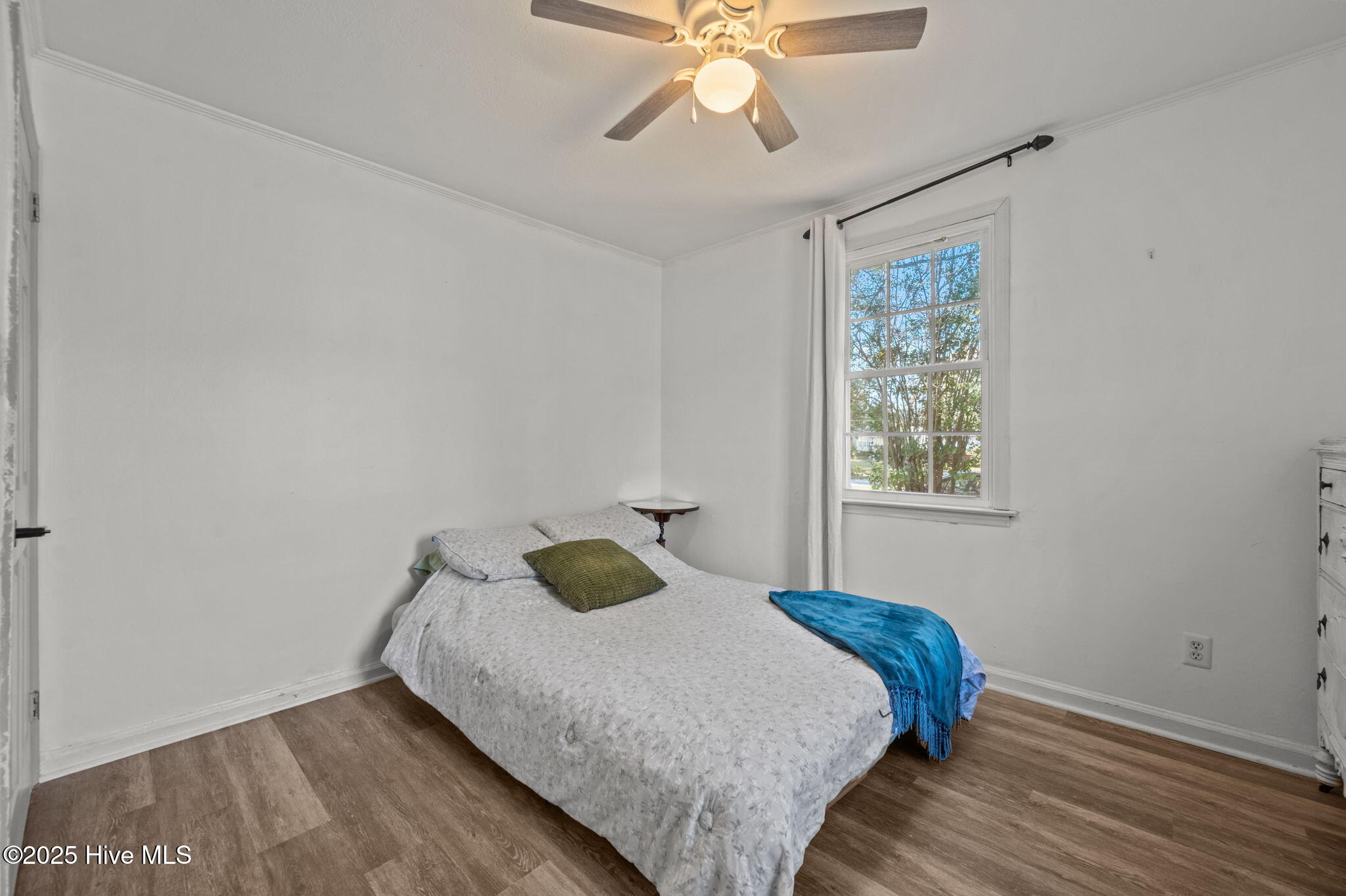 100538692 | Photo 25