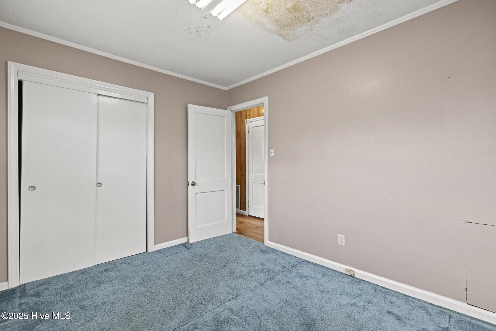 100532196 | Photo 11