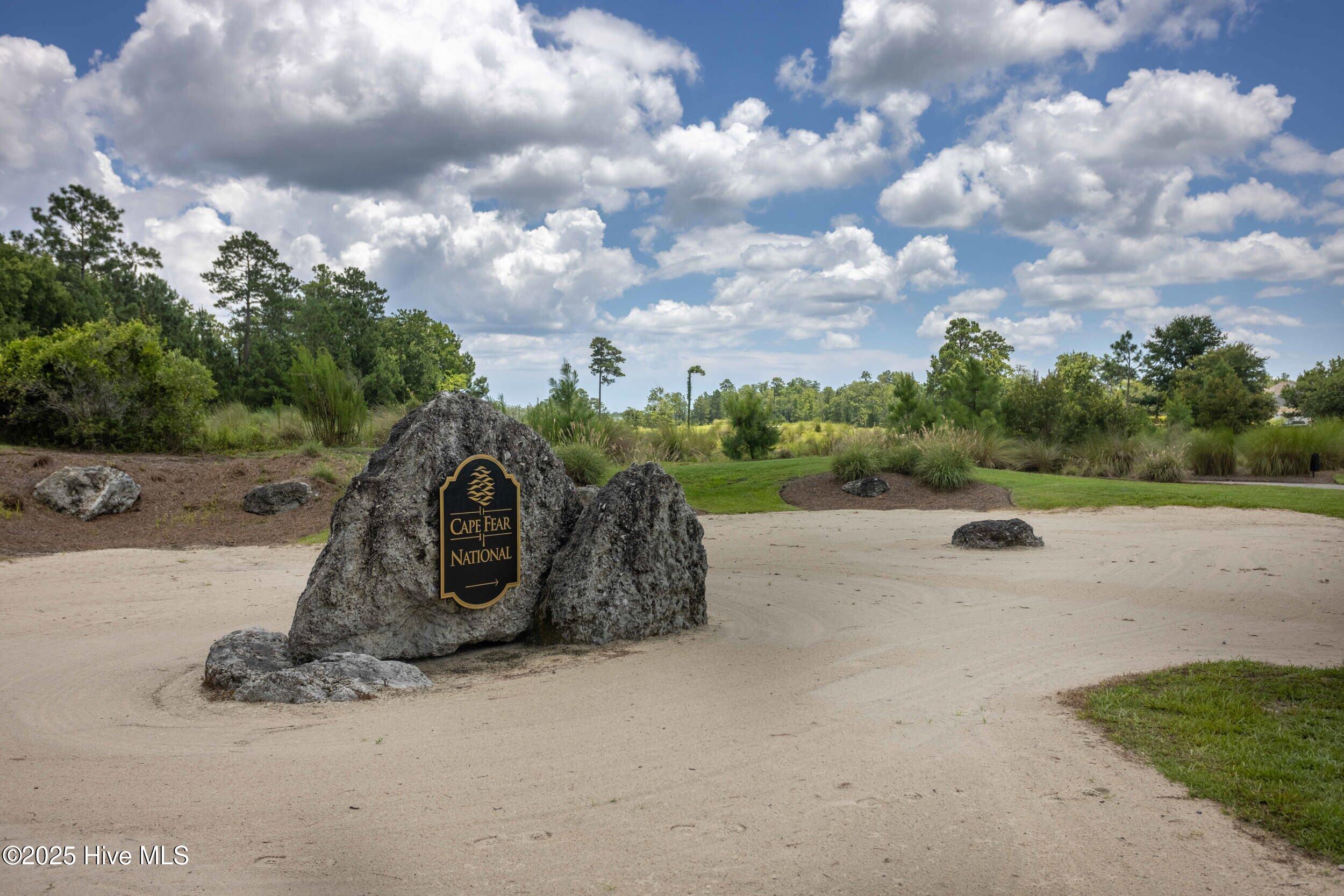 100543142 | Photo 63