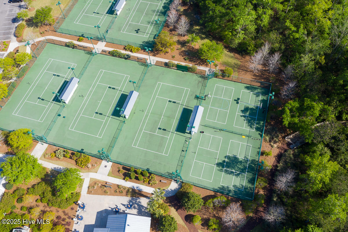 100539491 | Photo 51