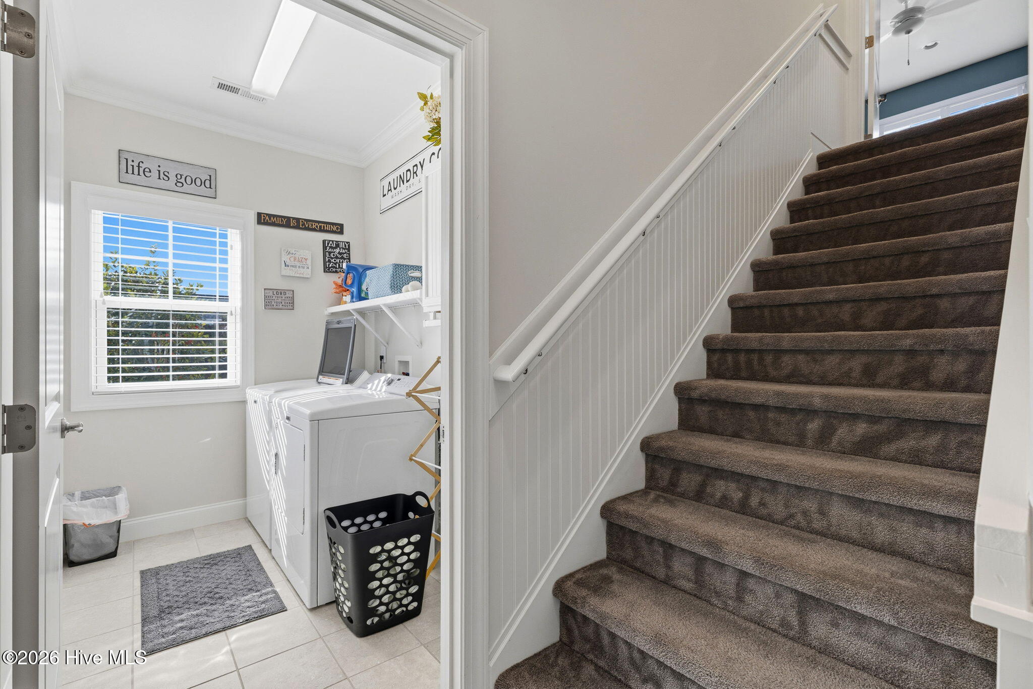 100554353 | Photo 43