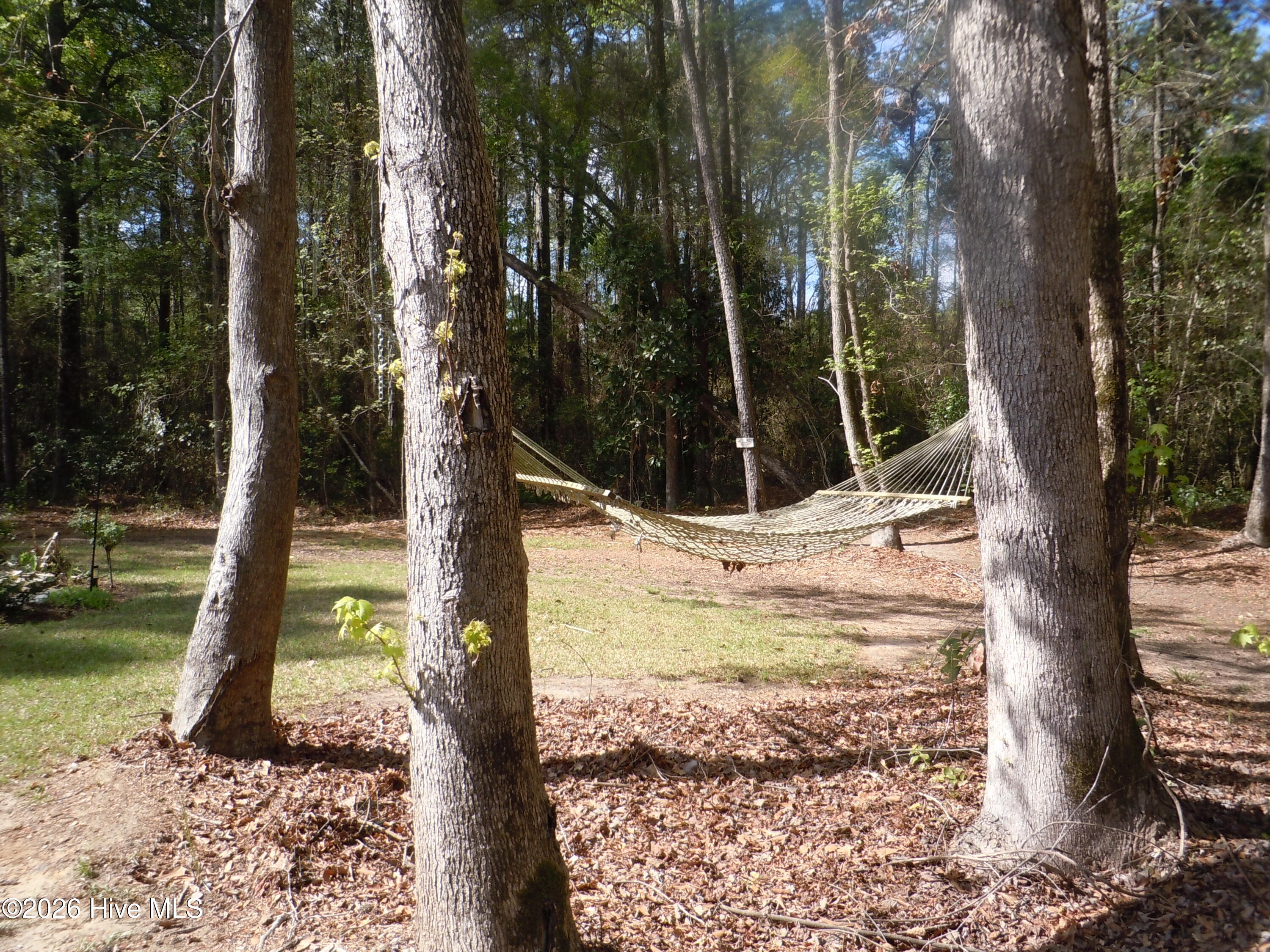 100565129 | Photo 108