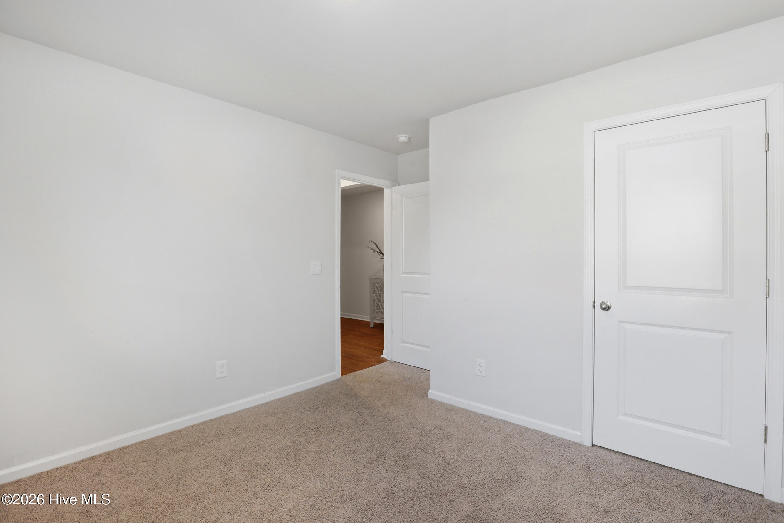 100558236 | Photo 22