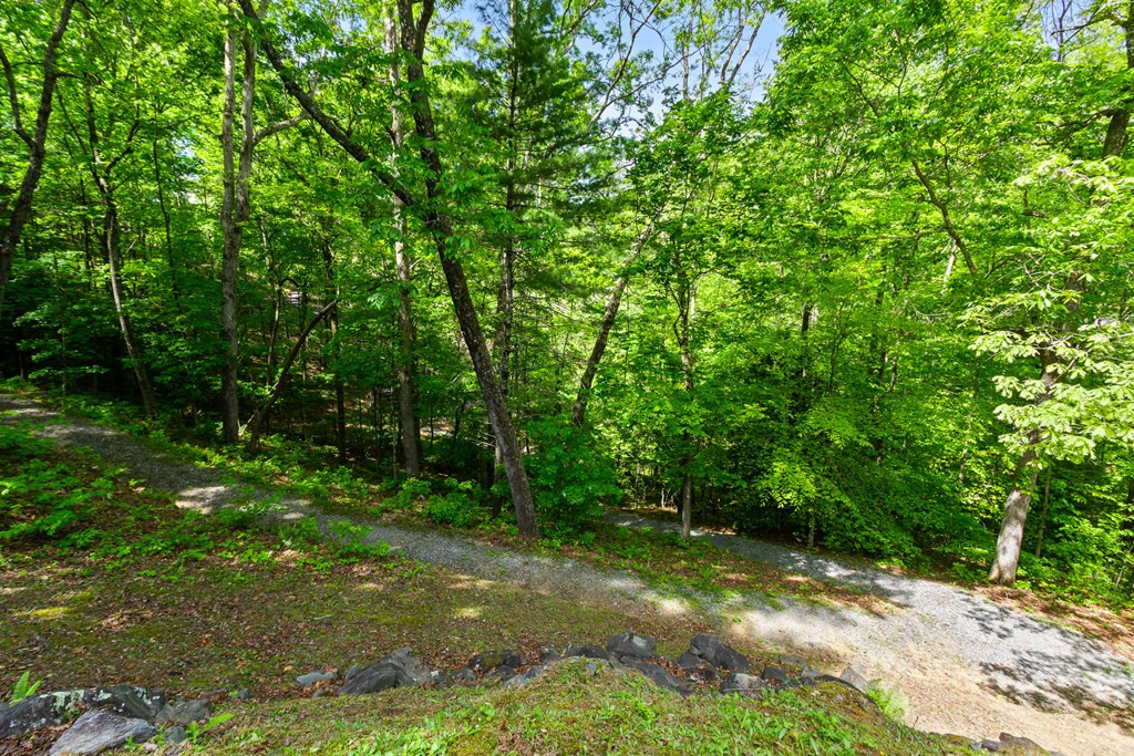 Exterior photo of 87 Snowbird Lane, Murphy, NC 28906. MLS: 98544445