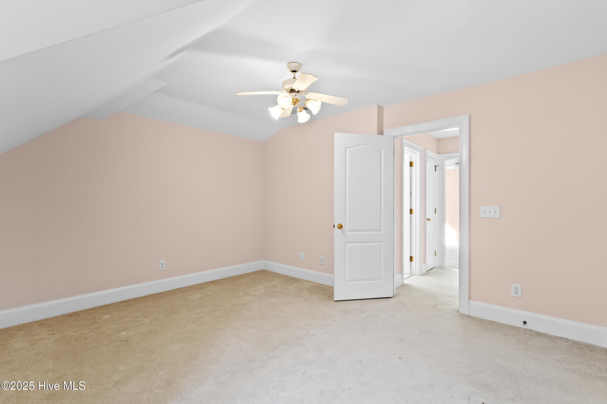 100516126 | Photo 42