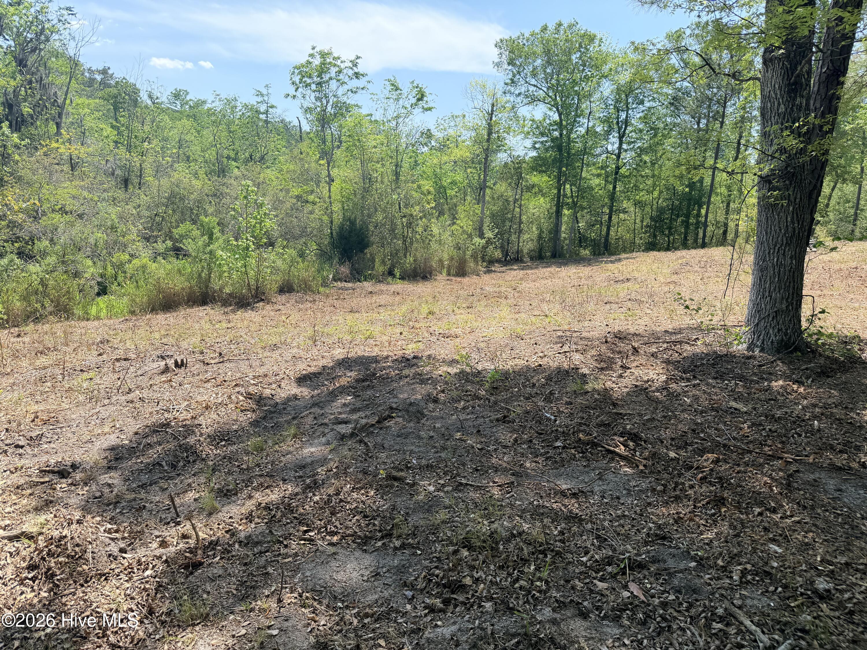 100568145 | Photo 17