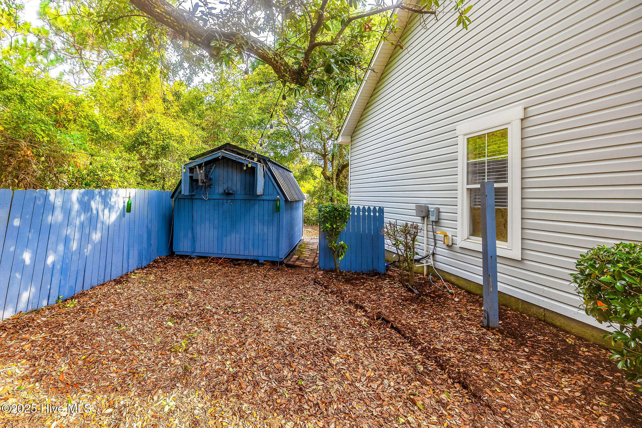 100522781 | Photo 29