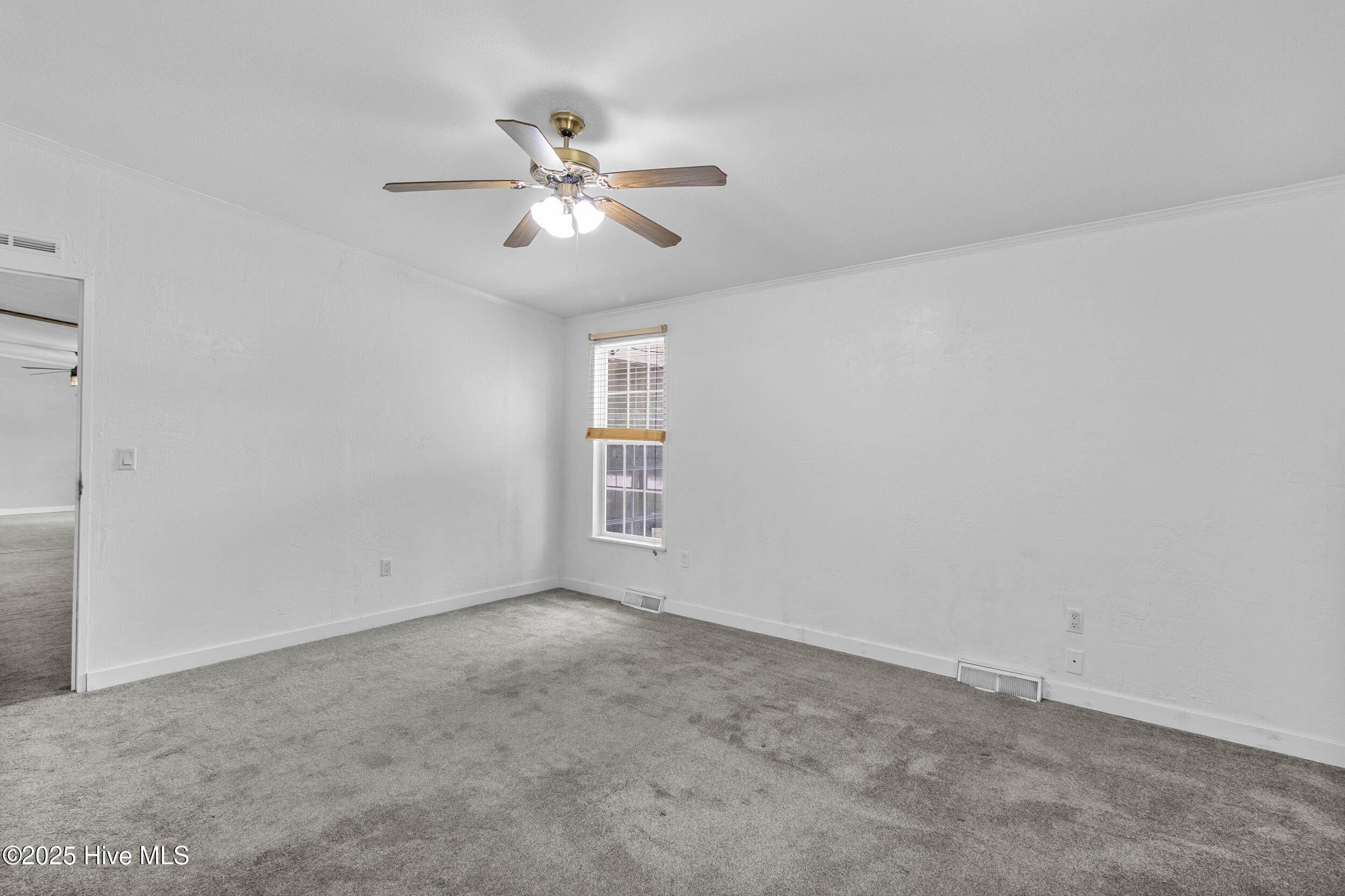 100515334 | Photo 35