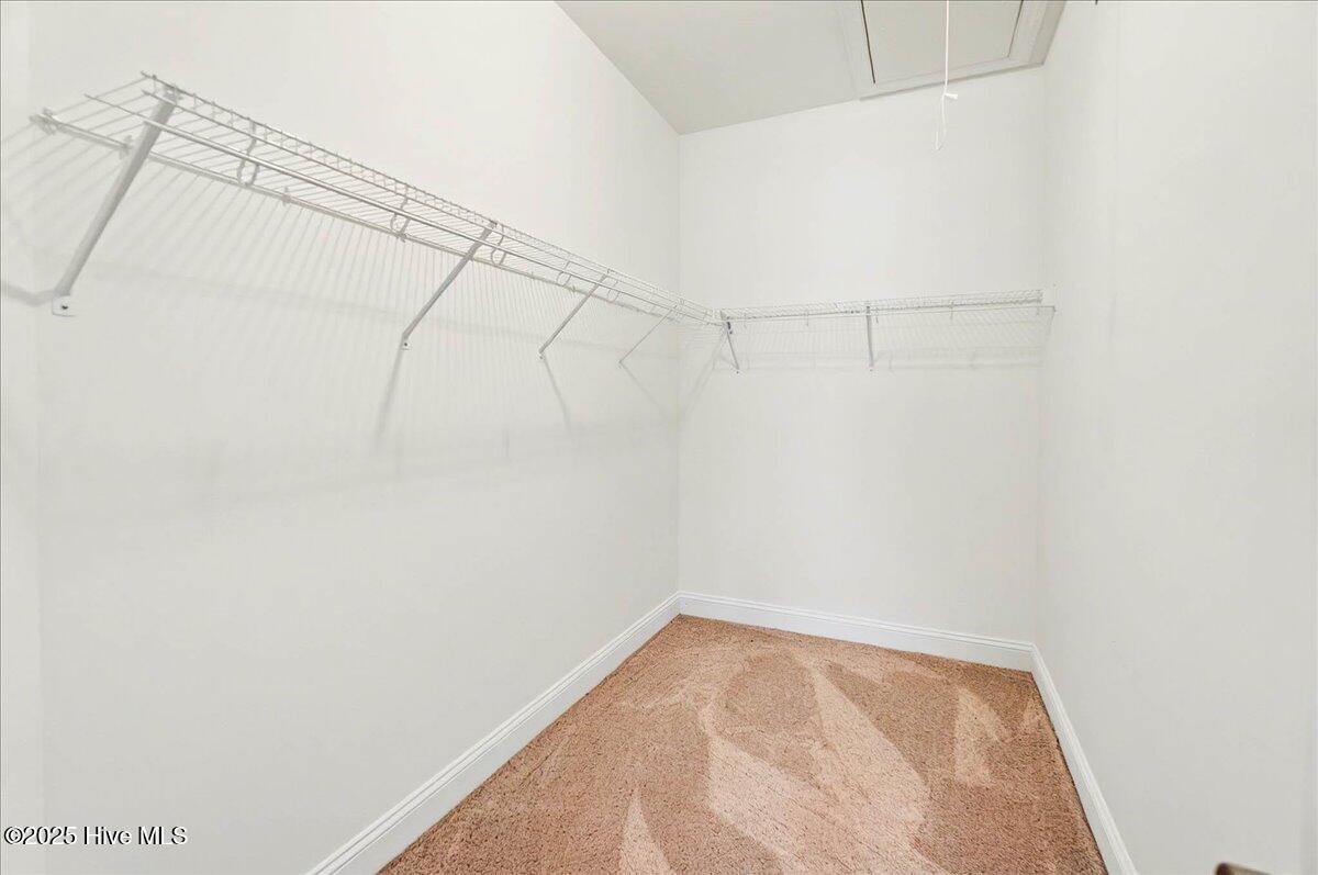 100521478 | Photo 19