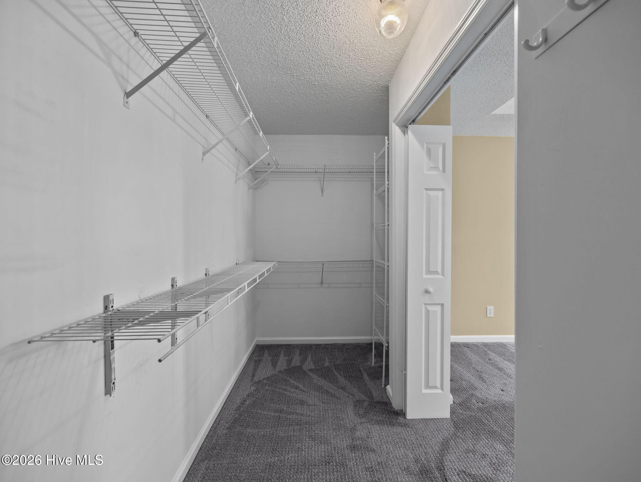 100565135 | Photo 29