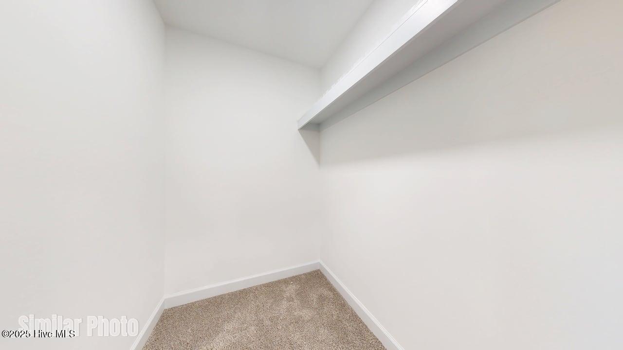 100546345 | Photo 23