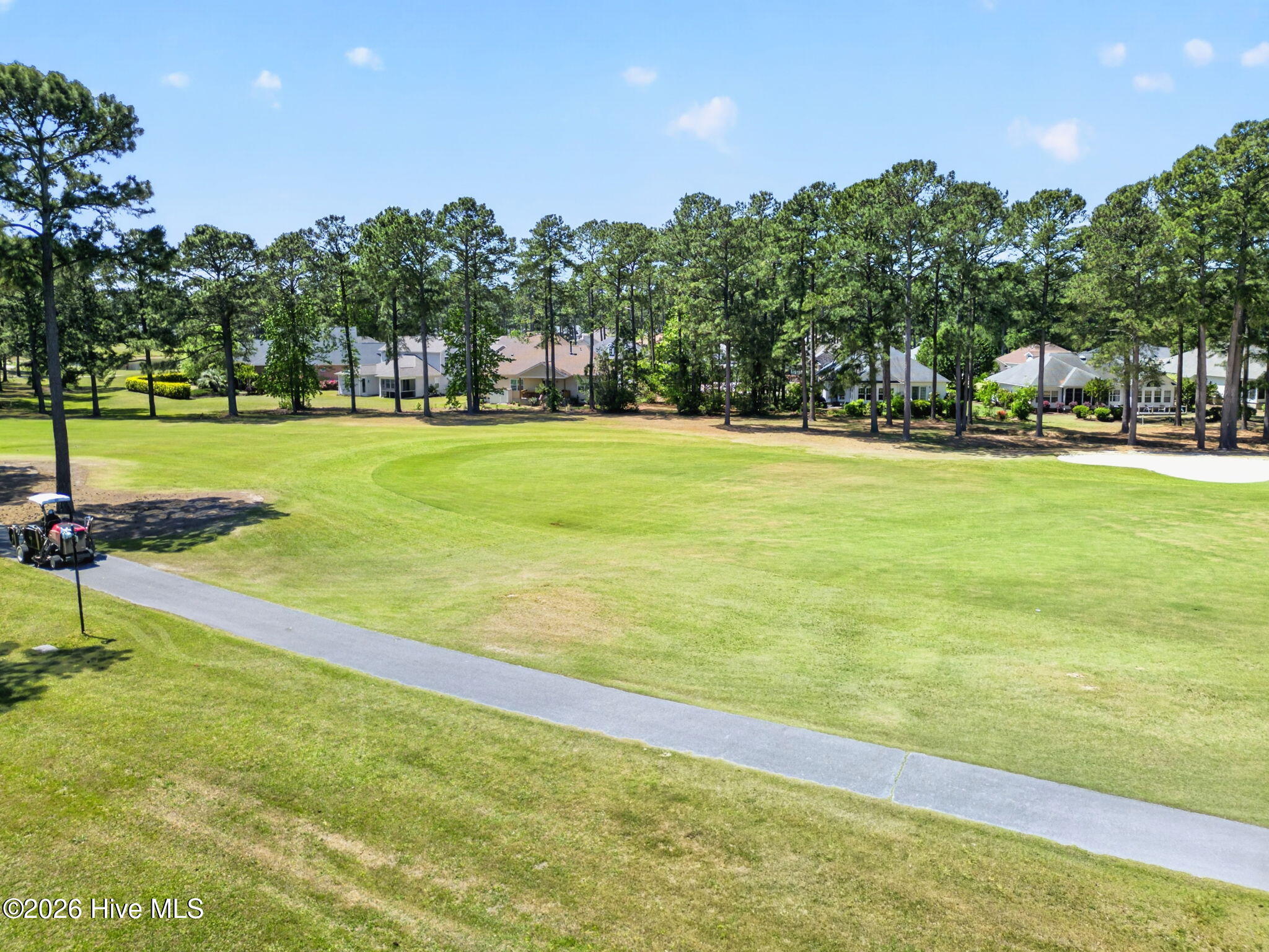 100569231 | Photo 32