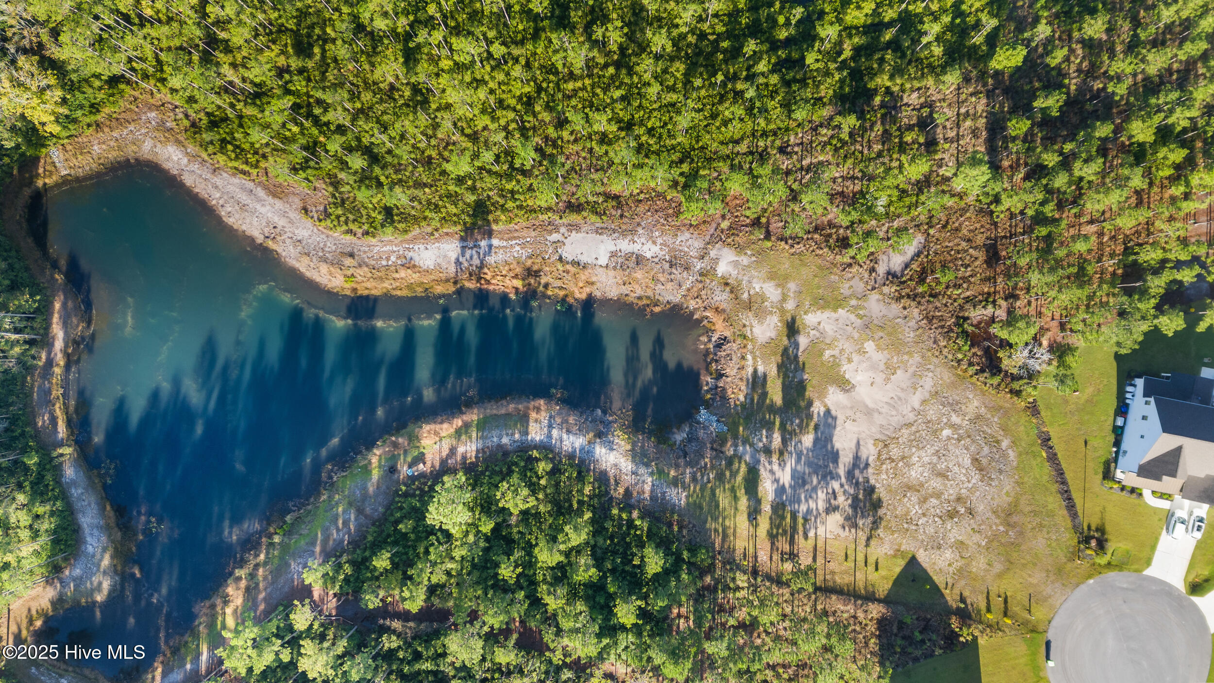 100538147 | Photo 13