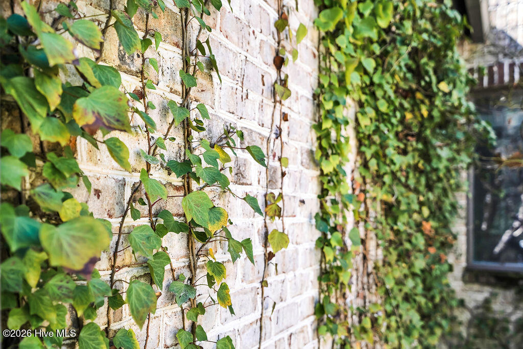 100564190 | Photo 68