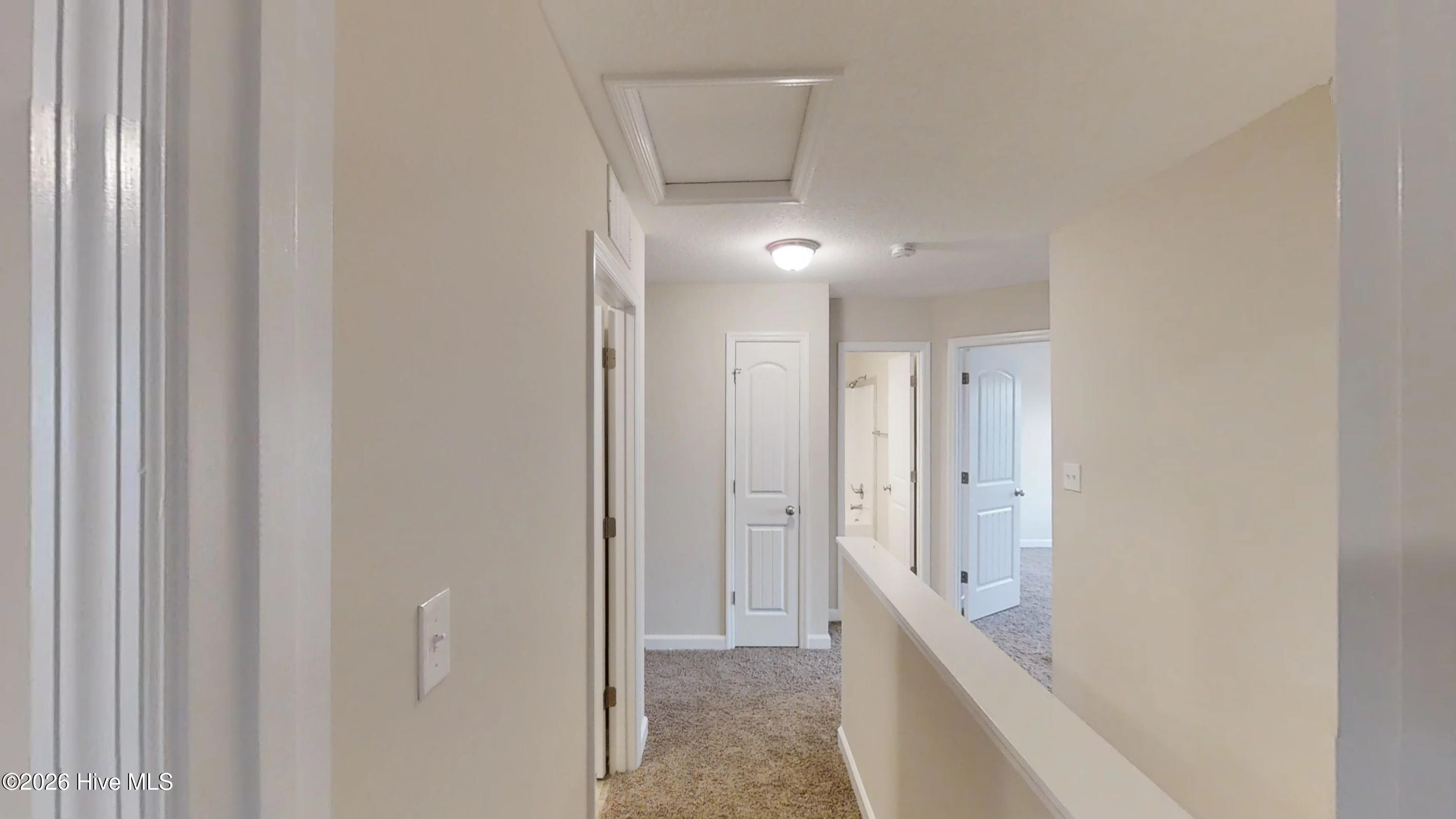 100562785 | Photo 27