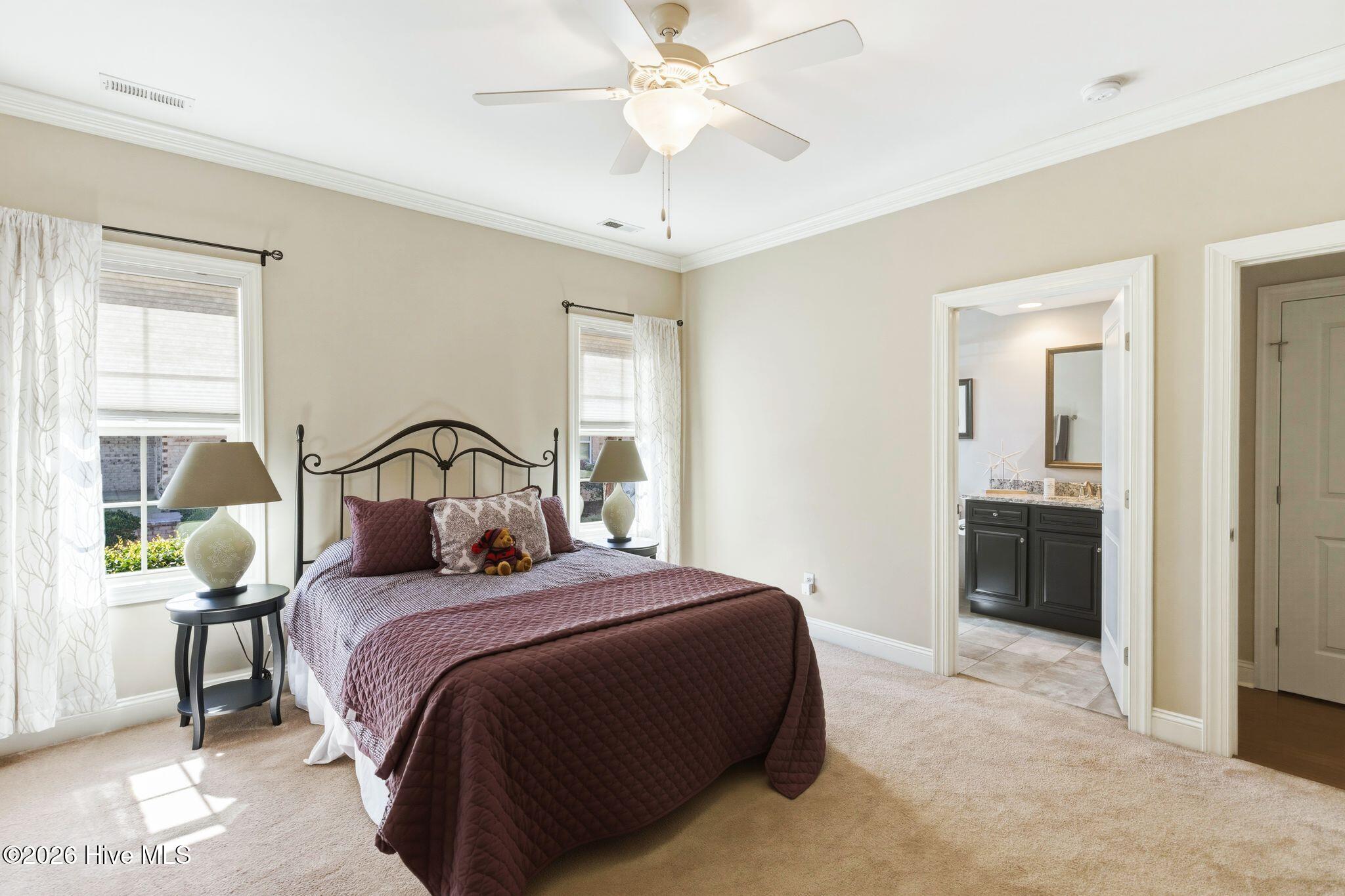 100564432 | Photo 33