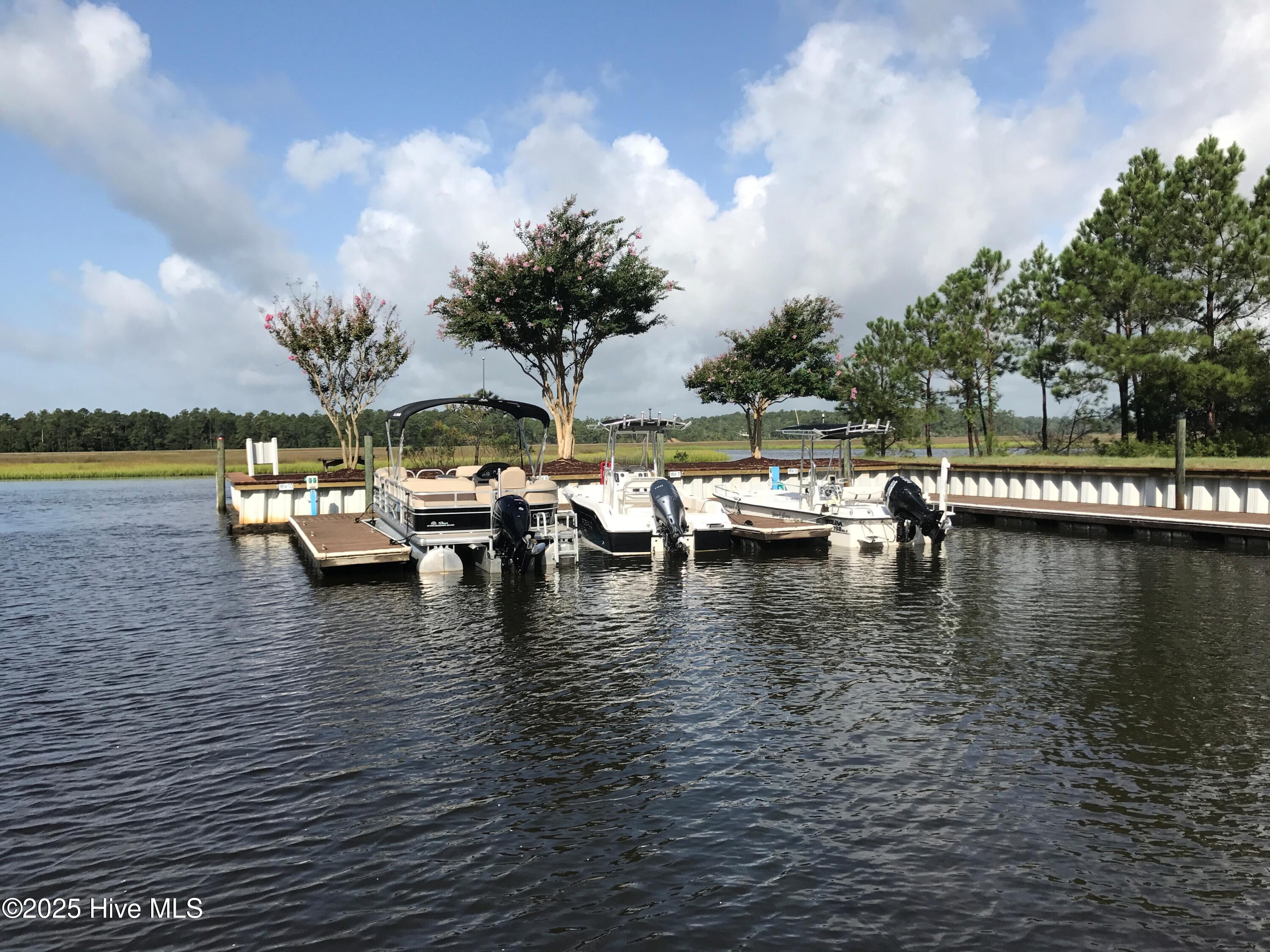 1620 Goley Hewett Road SE Unit 307, Bolivia, NC 28422 – photo 21: Riverhouse marina 2