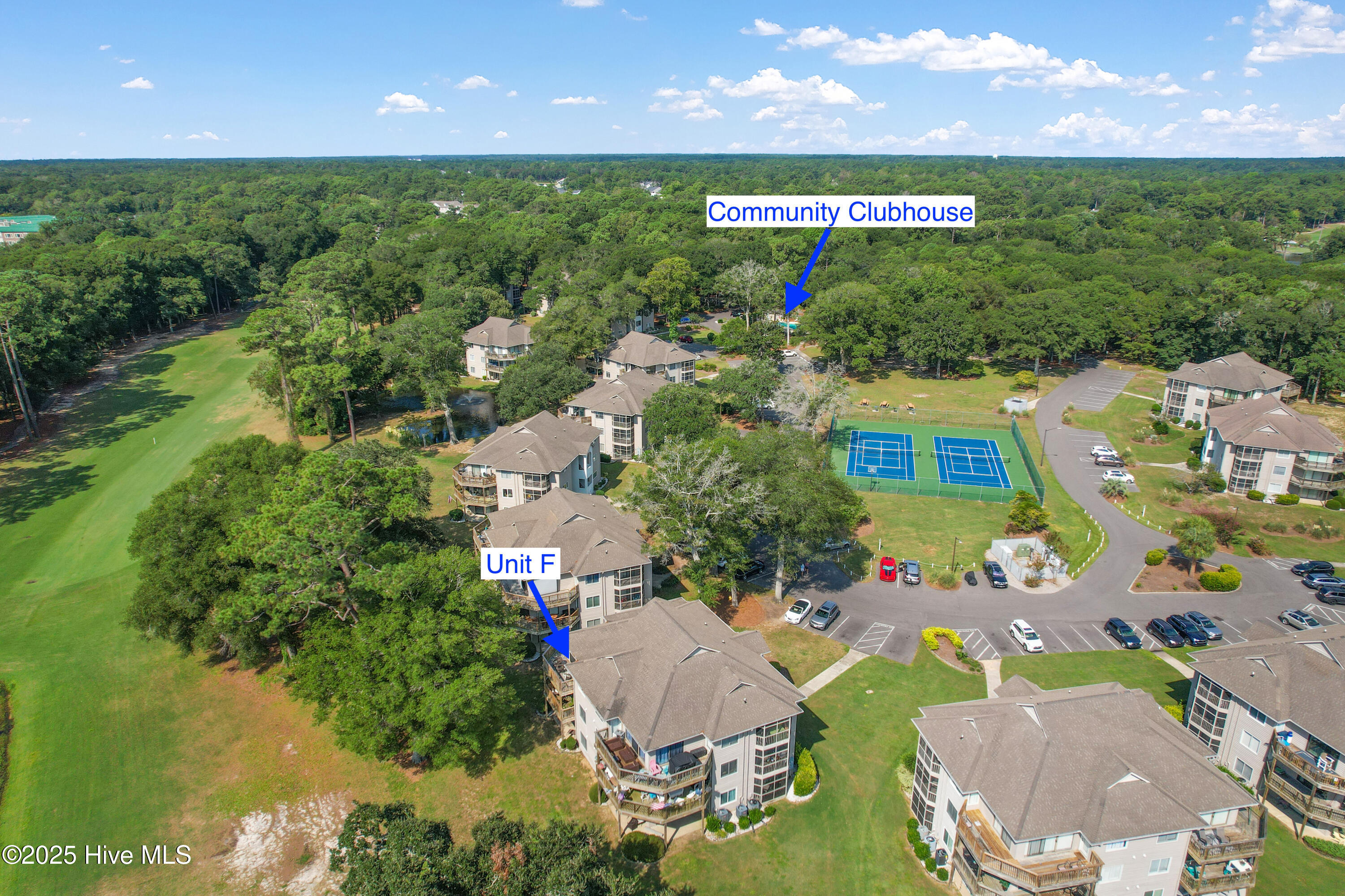 100555696 | Photo 26