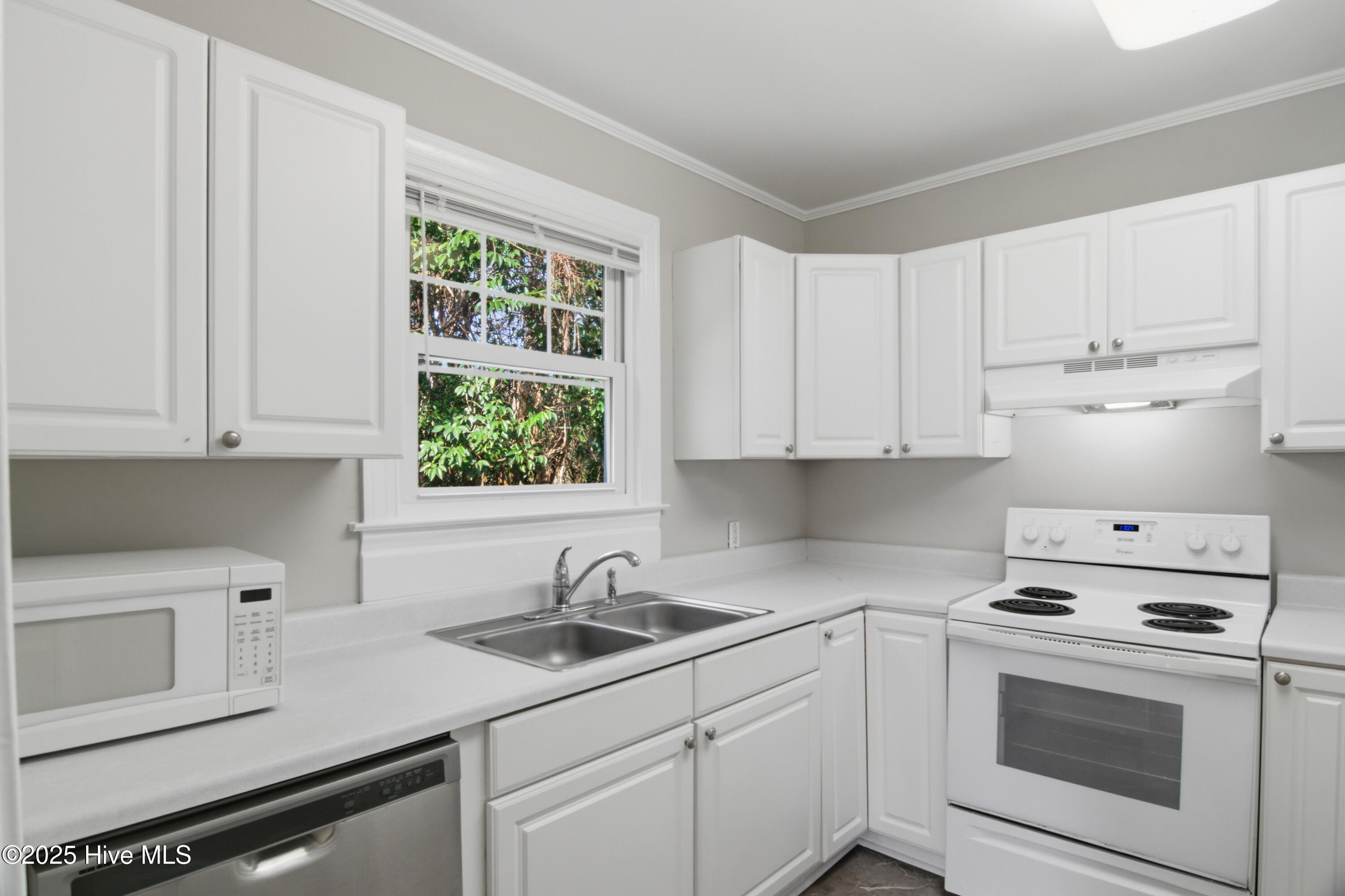 100546851 | Photo 12