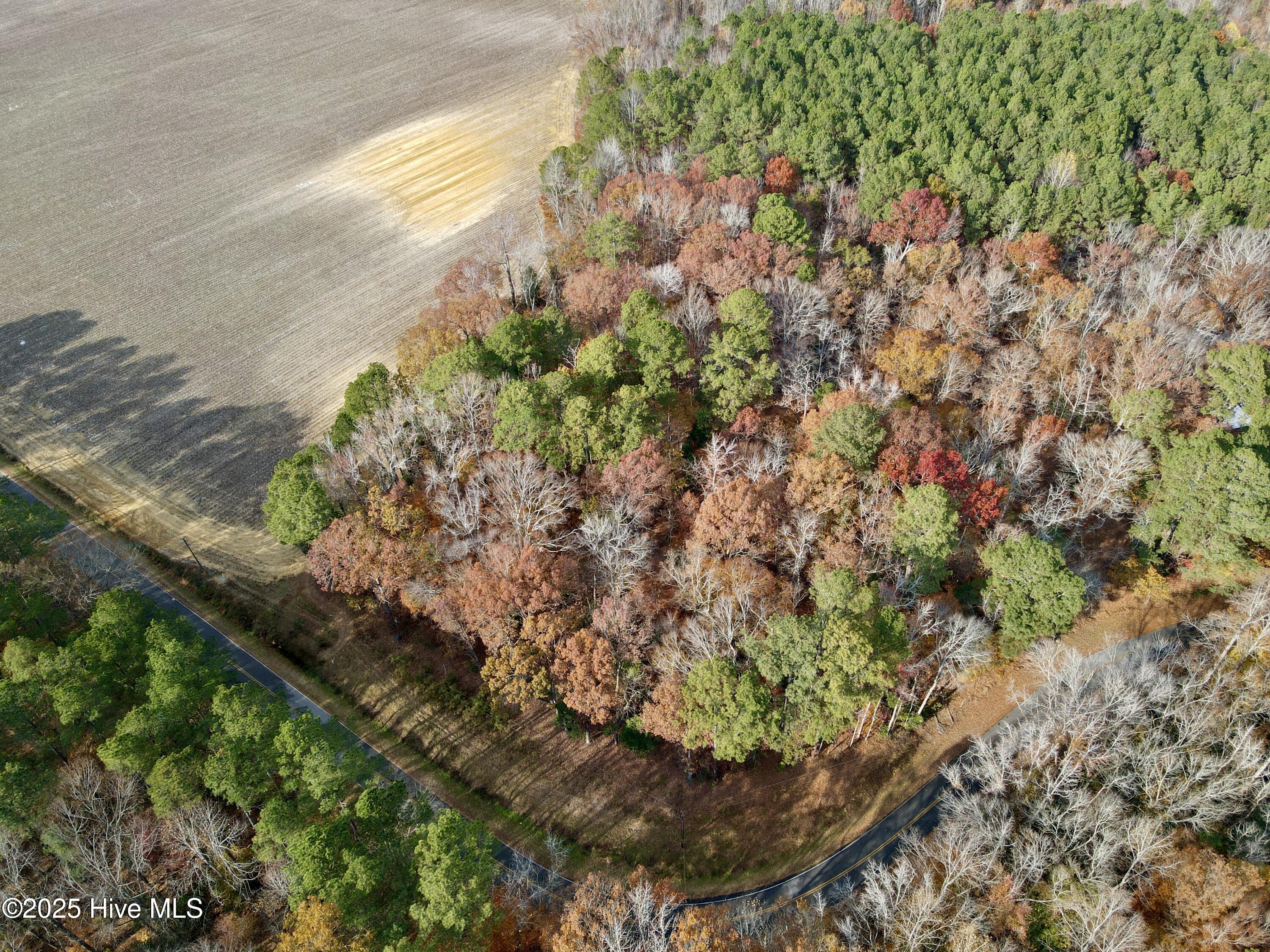 Homes for sale in Williamston, NC | 0 Williams Rd, Williamston, NC 27892 | MLS# 100543369