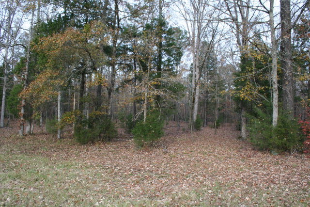 Double Branches Road, Lincolnton, GA 30817 Listing Photo  12