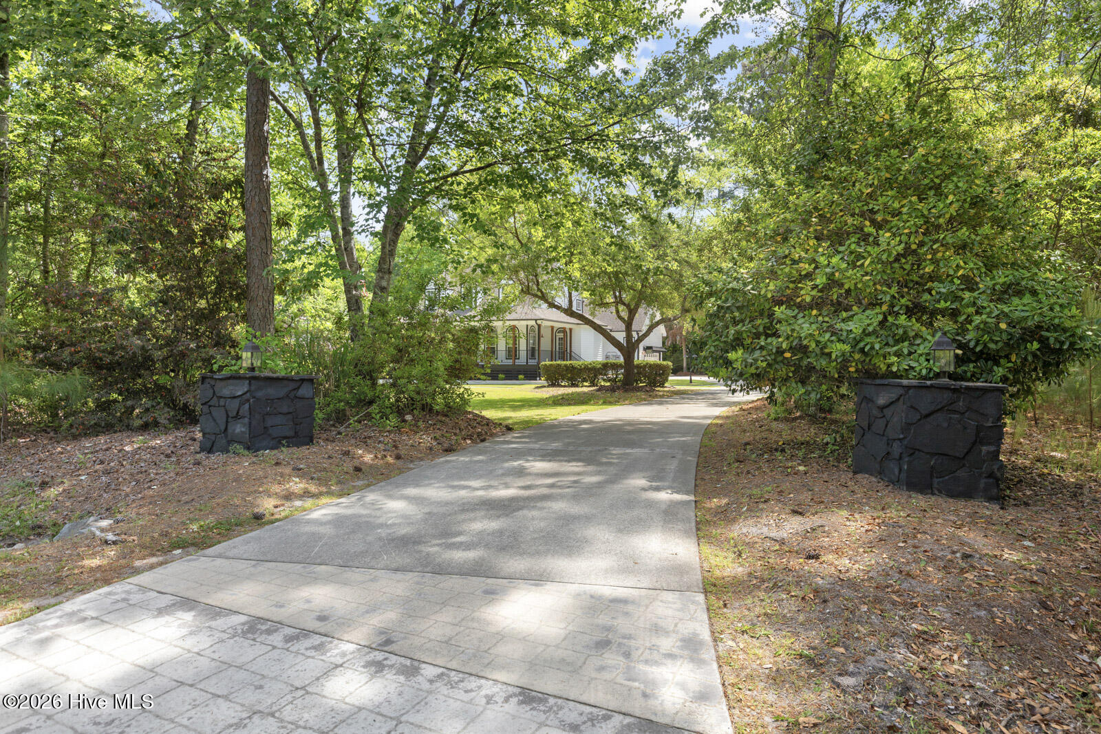 100569189 | Photo 54