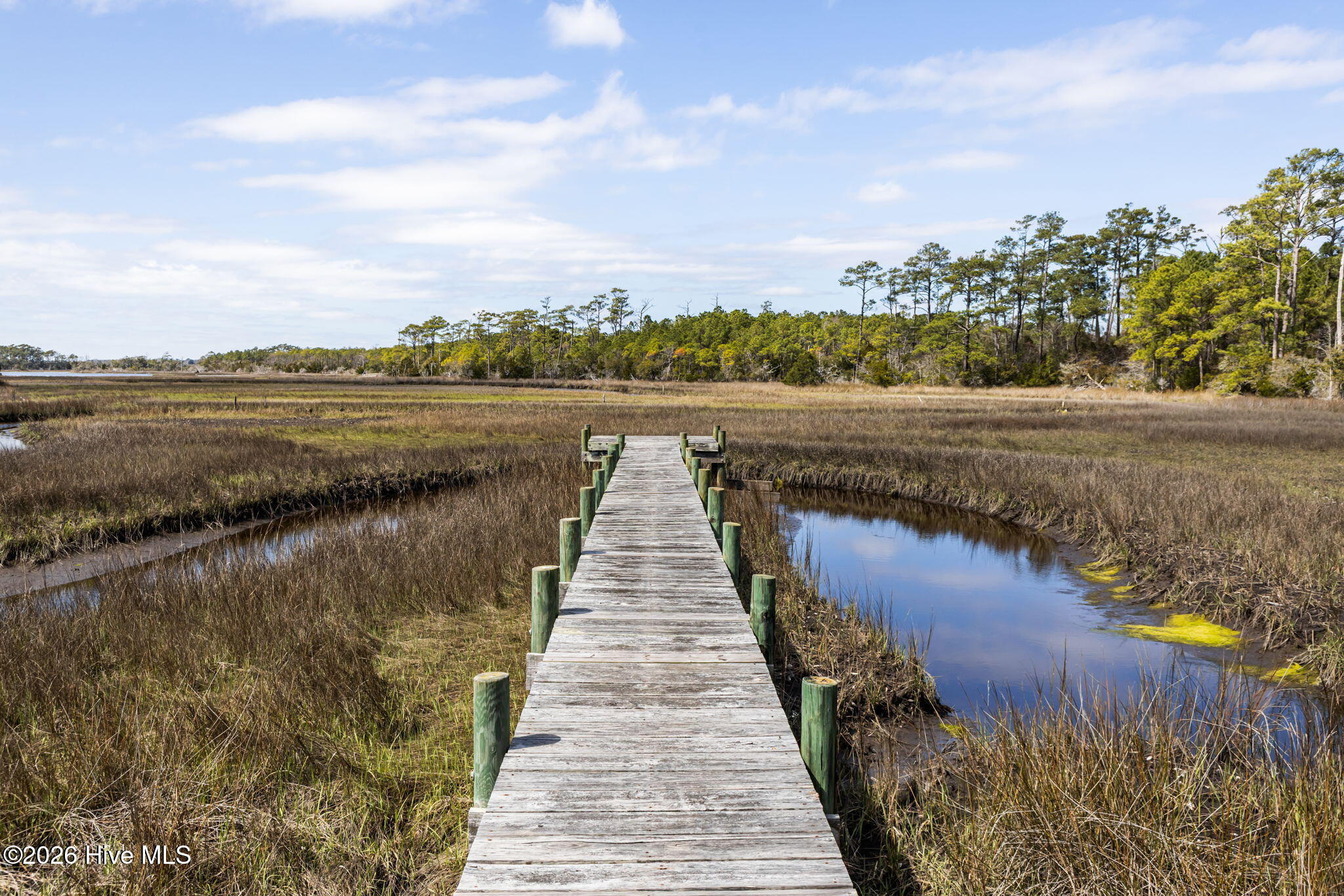 100560213 | Photo 43