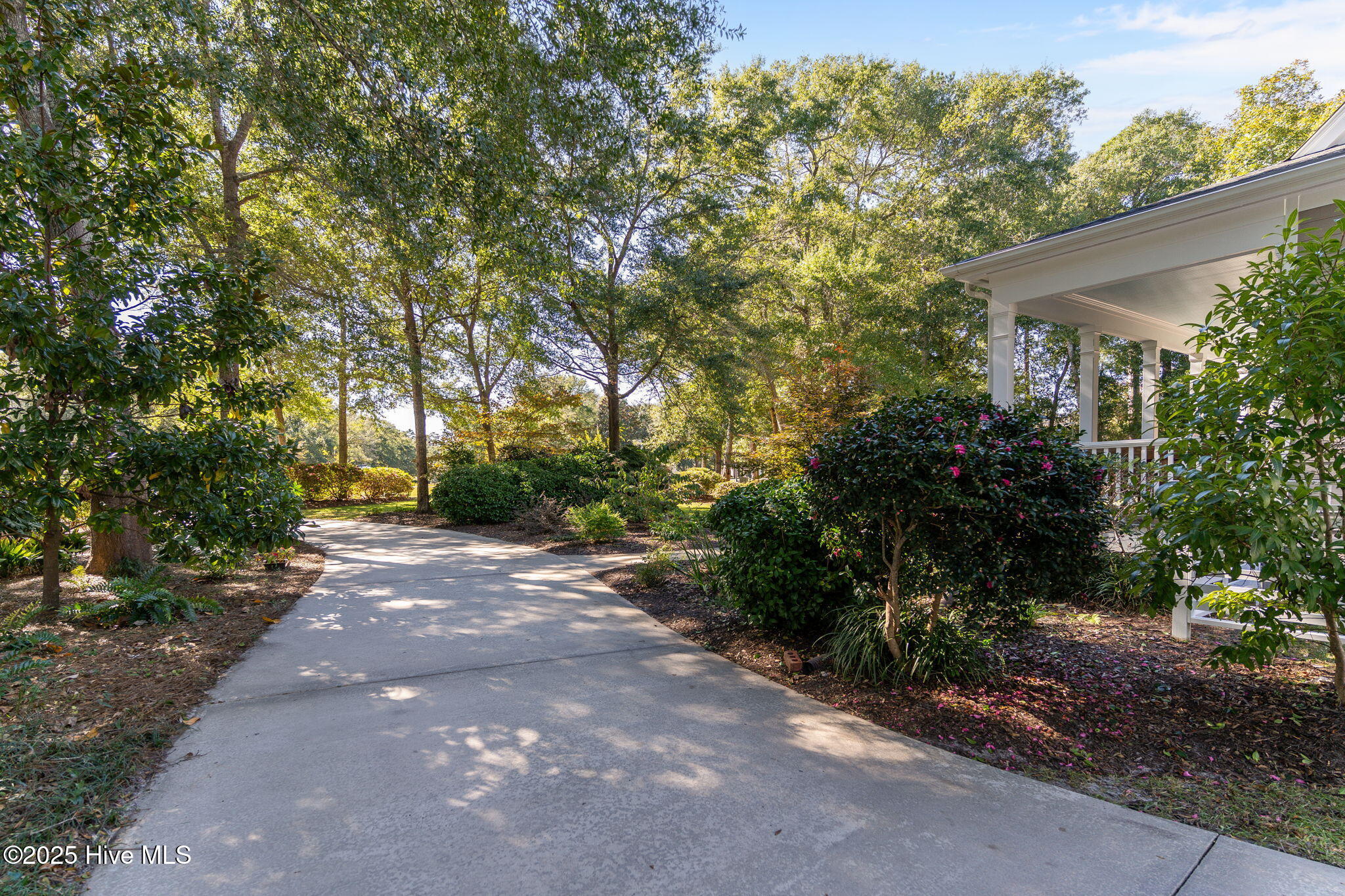 100538166 | Photo 55