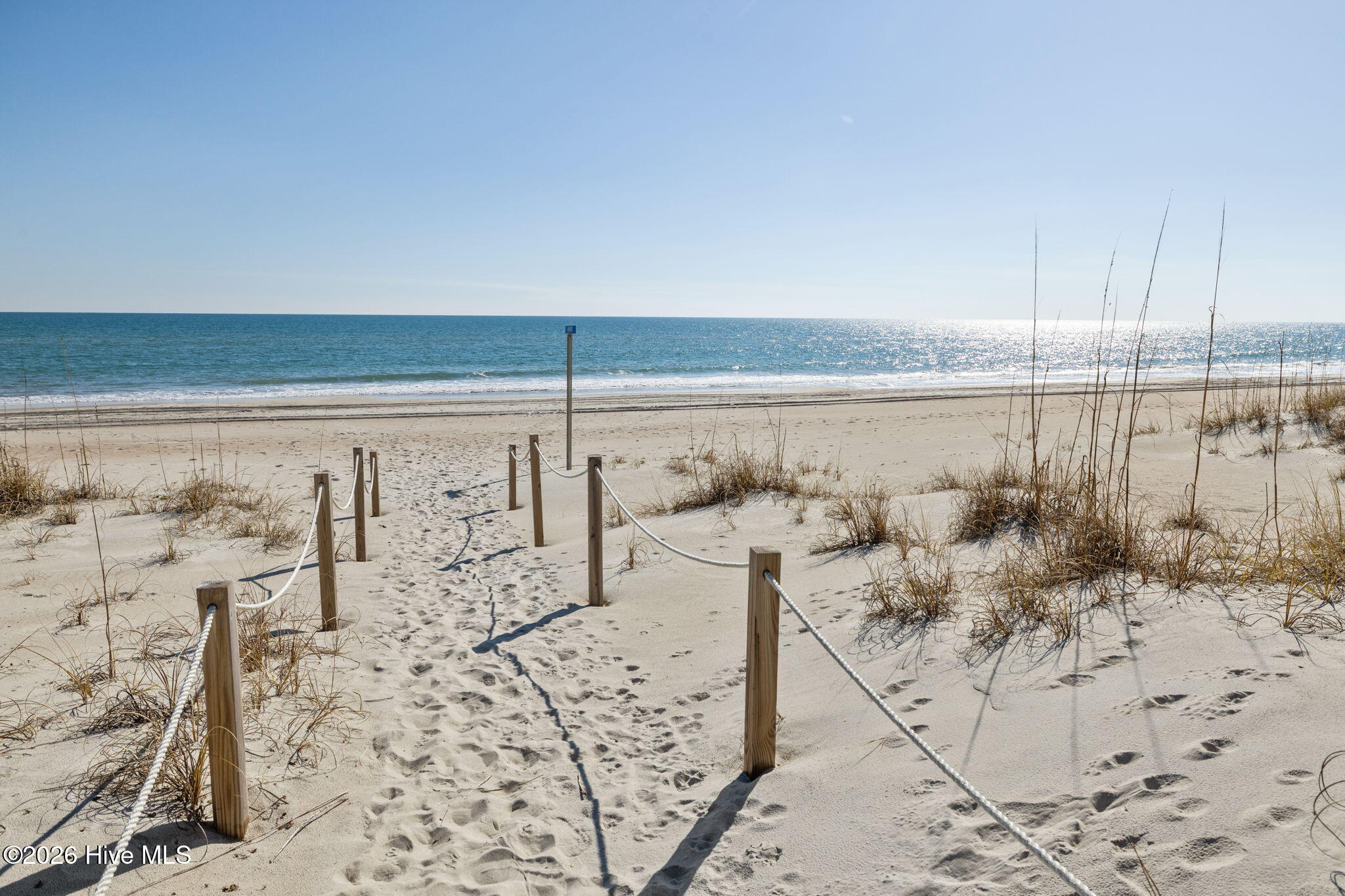 100554841 | Photo 46