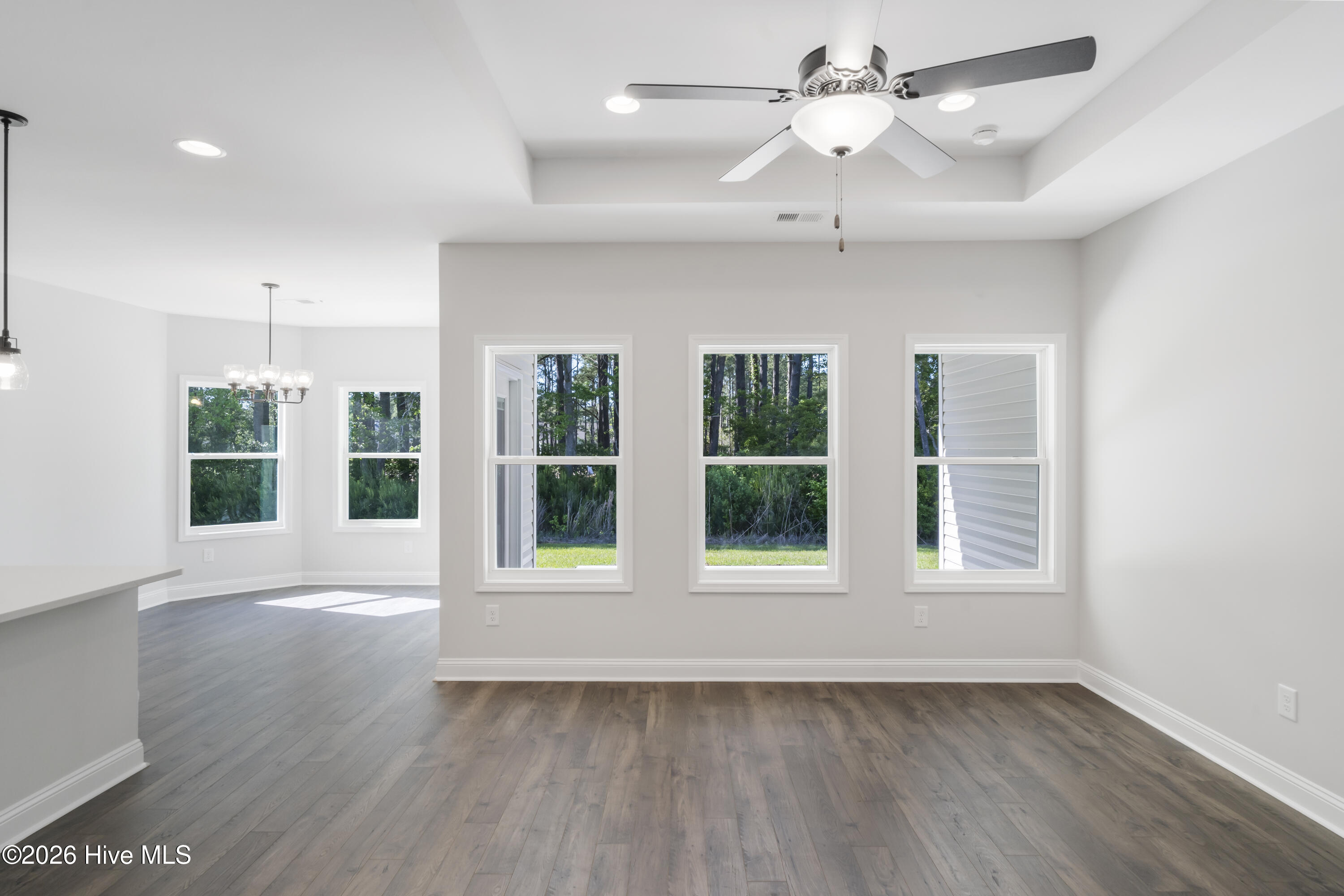 100553505 | Photo 13