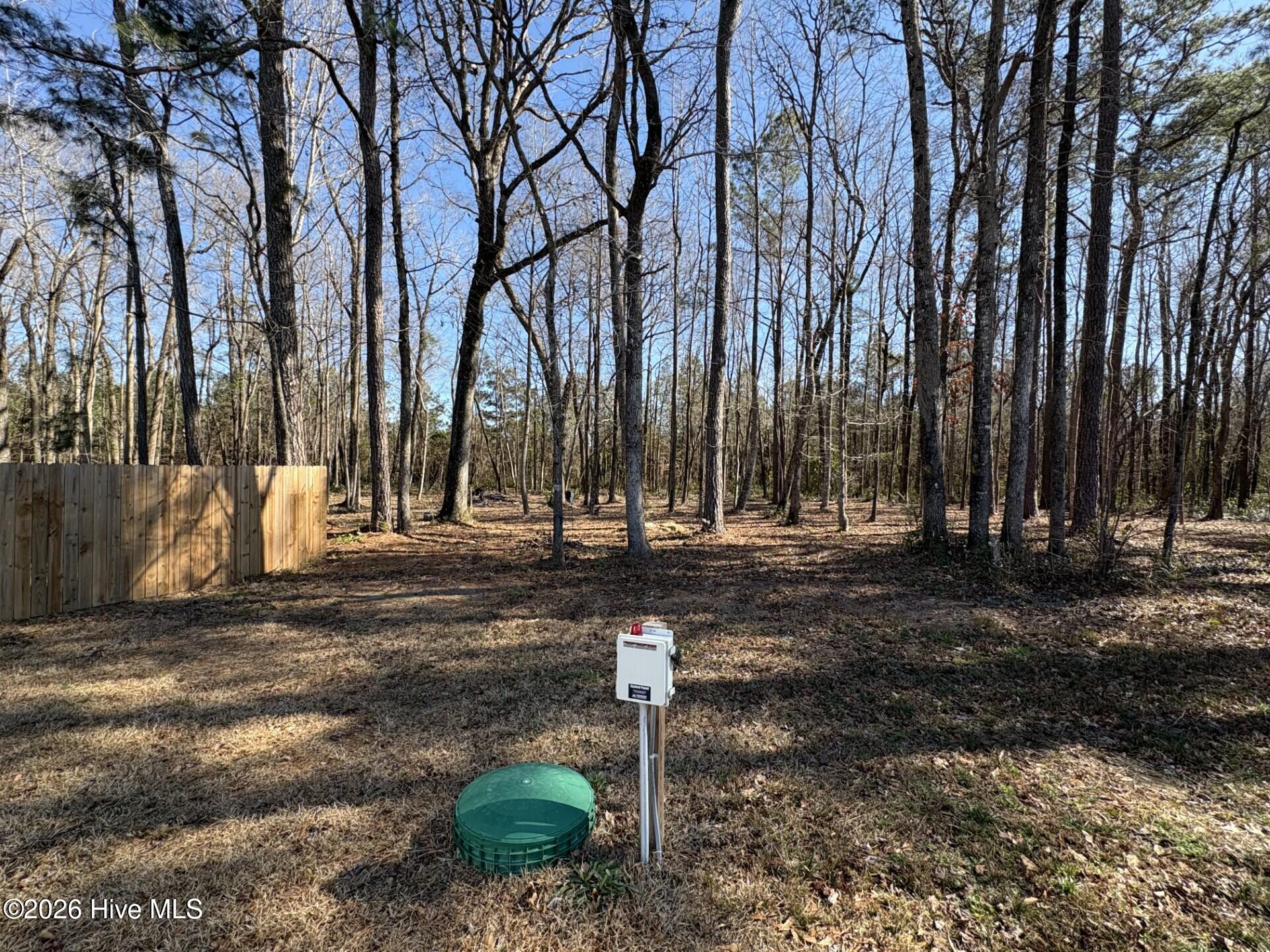 100553679 | Photo 45