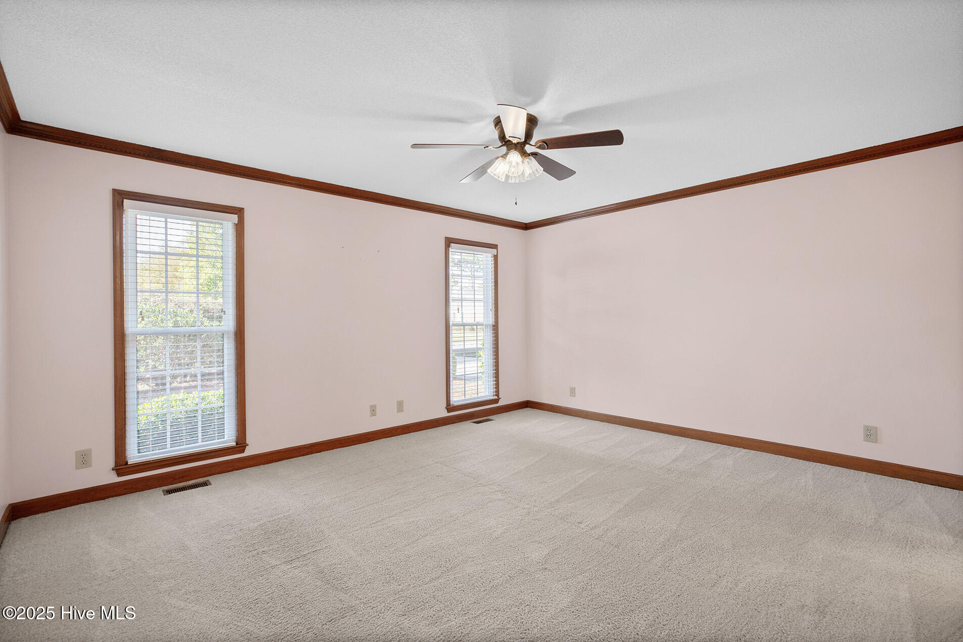 100541648 | Photo 22