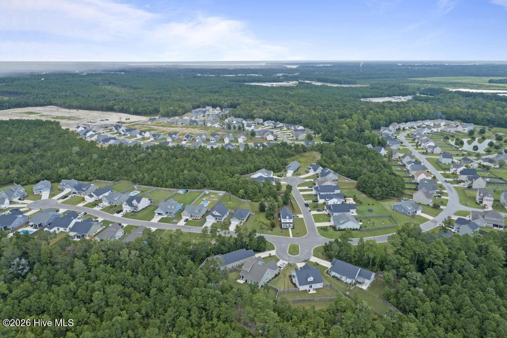 100553850 | Photo 37