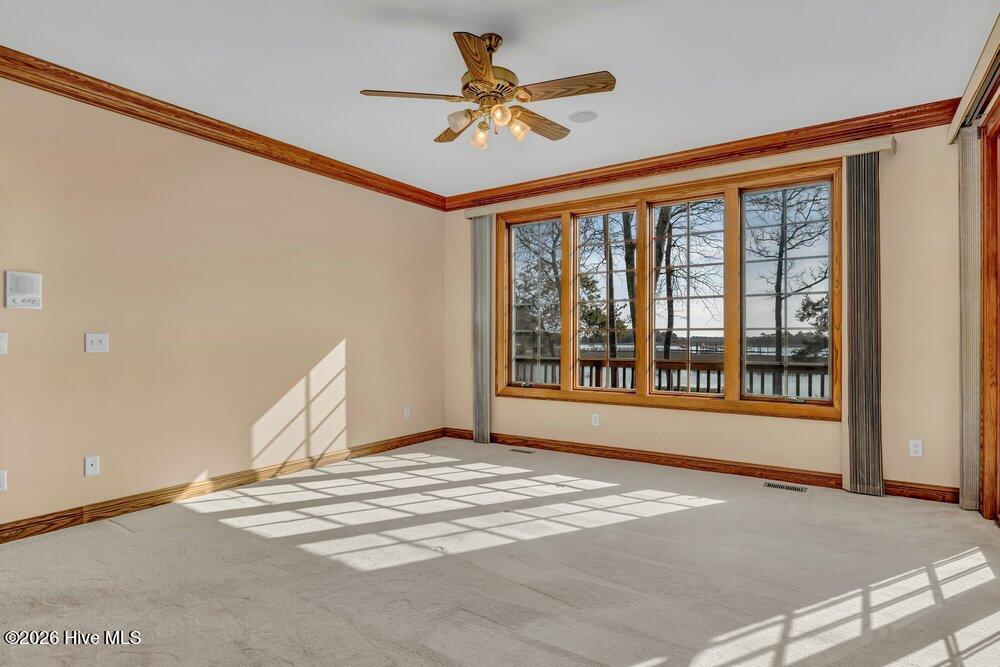 100558488 | Photo 25