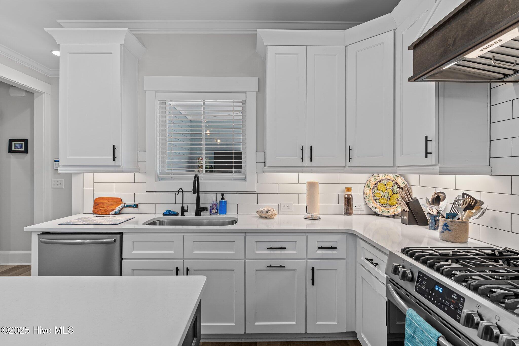 100517876 | Photo 27