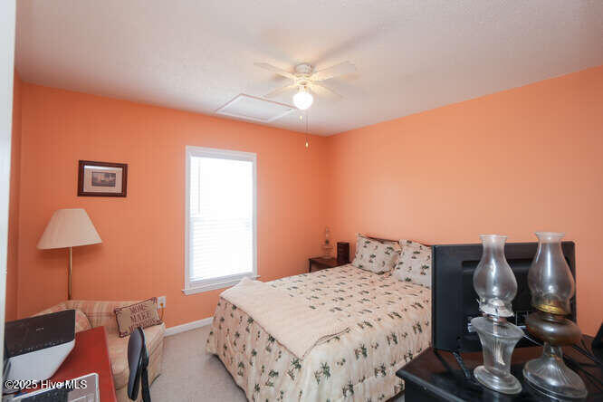 100552638 | Photo 15