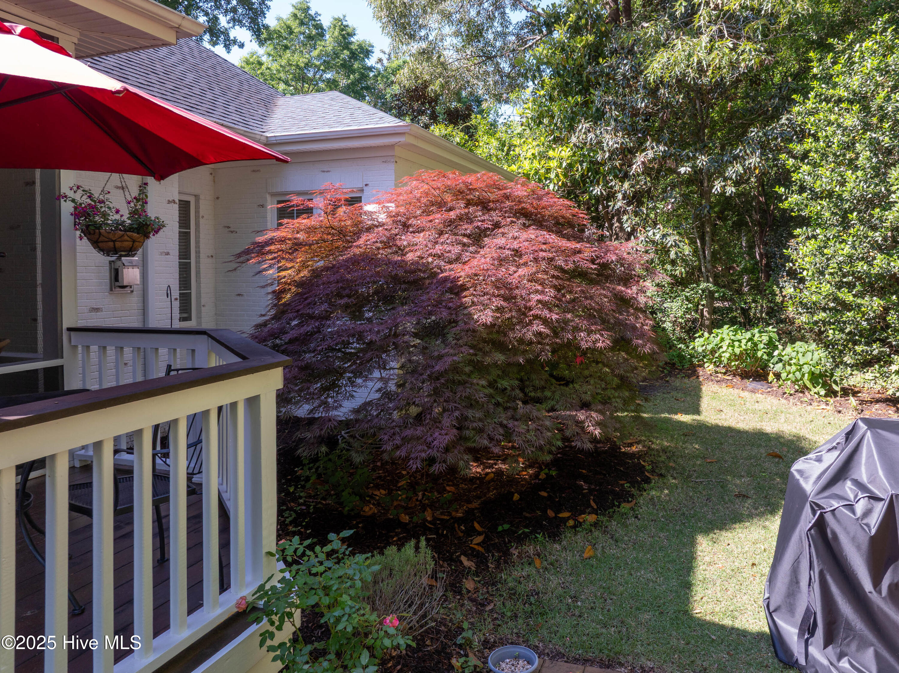 100549732 | Photo 39