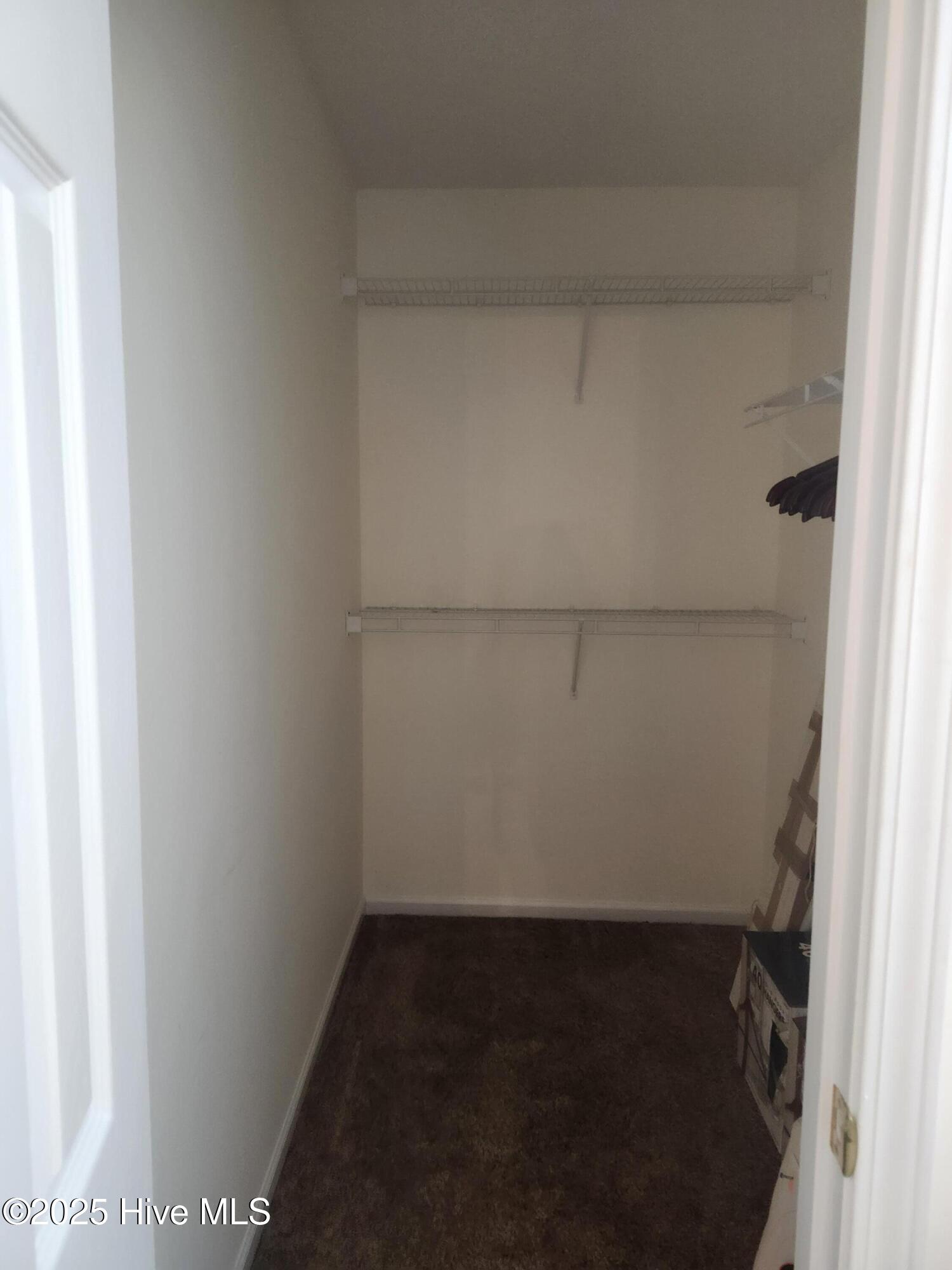 100544532 | Photo 12